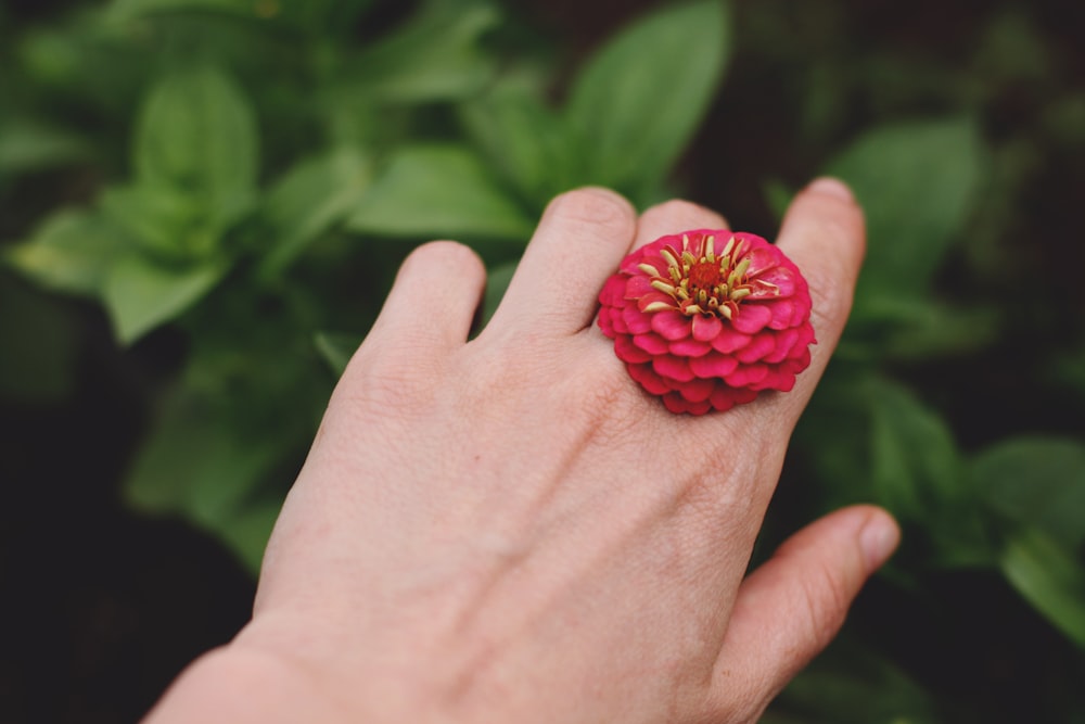a person's hand holding a red flower ring
