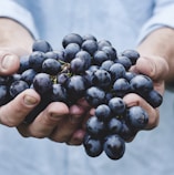 person holding grapes