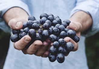 person holding grapes