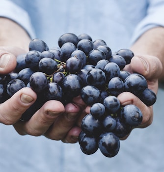 person holding grapes