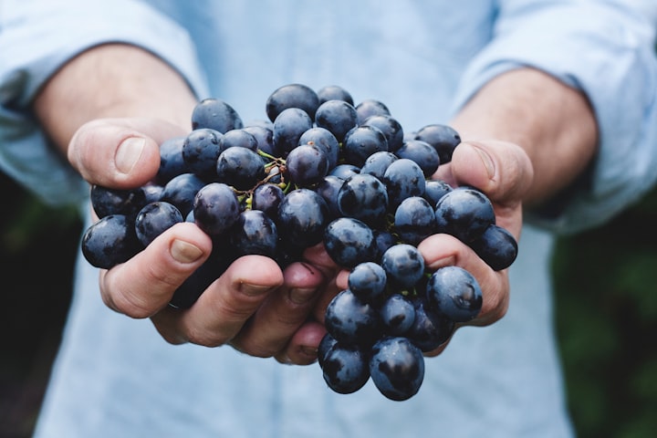 A close up of a man holding out his hands that are filled with fresh grapes