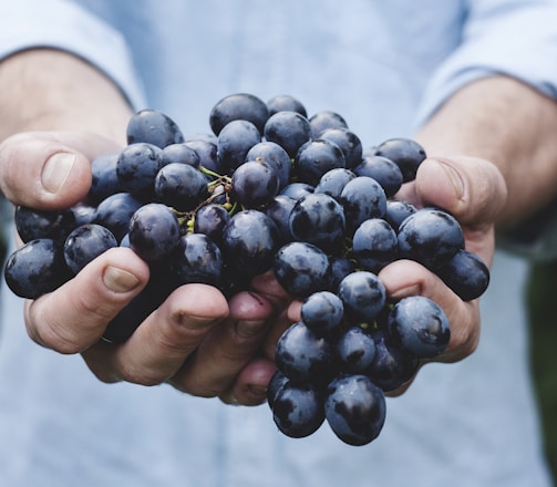 person holding grapes