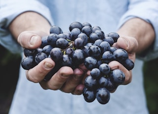 person holding grapes