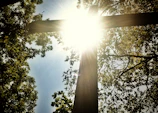 A peaceful outdoor scene with a cross and sunlight filtering through trees.