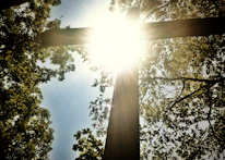 A warm, sunlit cross standing in a serene natural landscape.