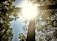 Sunlight shines brightly behind a large wooden cross, casting rays through the leaves of surrounding trees. The scene is set against a clear blue sky, creating a serene and poignant atmosphere.