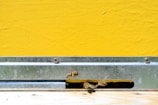 Bees are flying near the entrance of a beehive, which features a bright yellow surface and a metal guard. The bees appear active as they navigate around the hive opening.