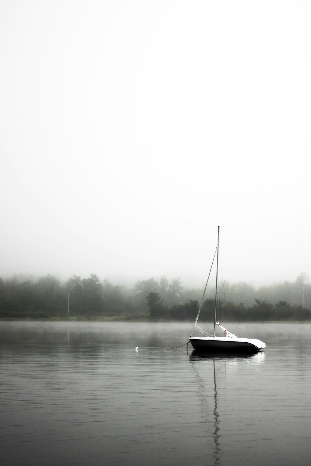 湖に浮かぶ黒と白のボート