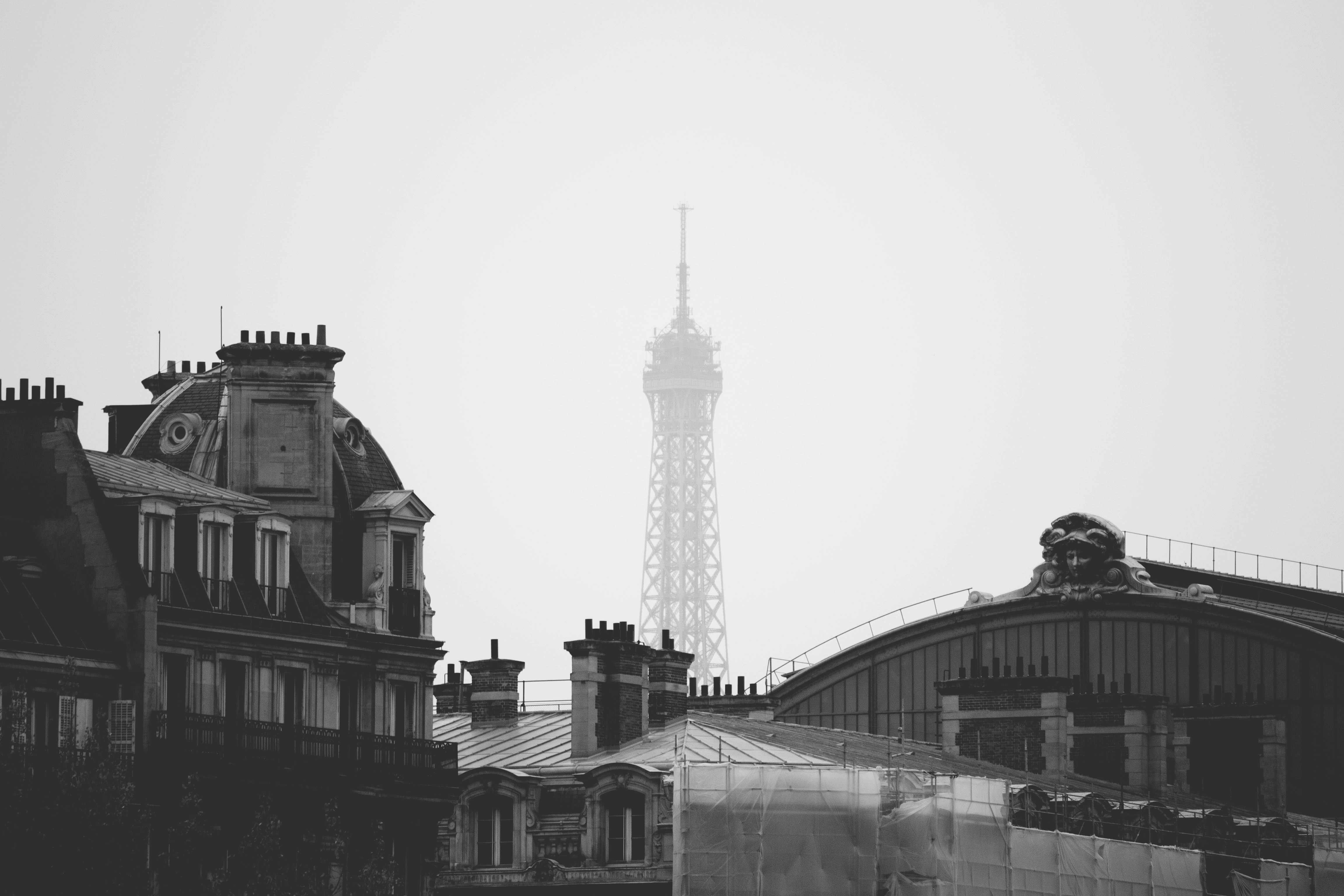 Free Unsplash photo from Aldana Fiandrino