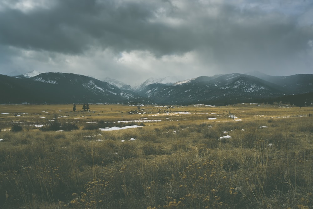 grass field near mountains