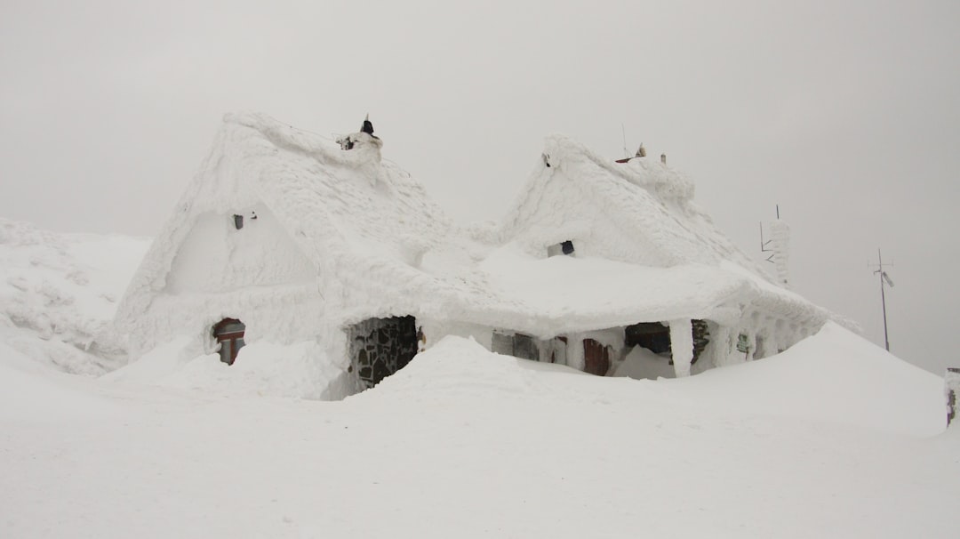 house covered in snow