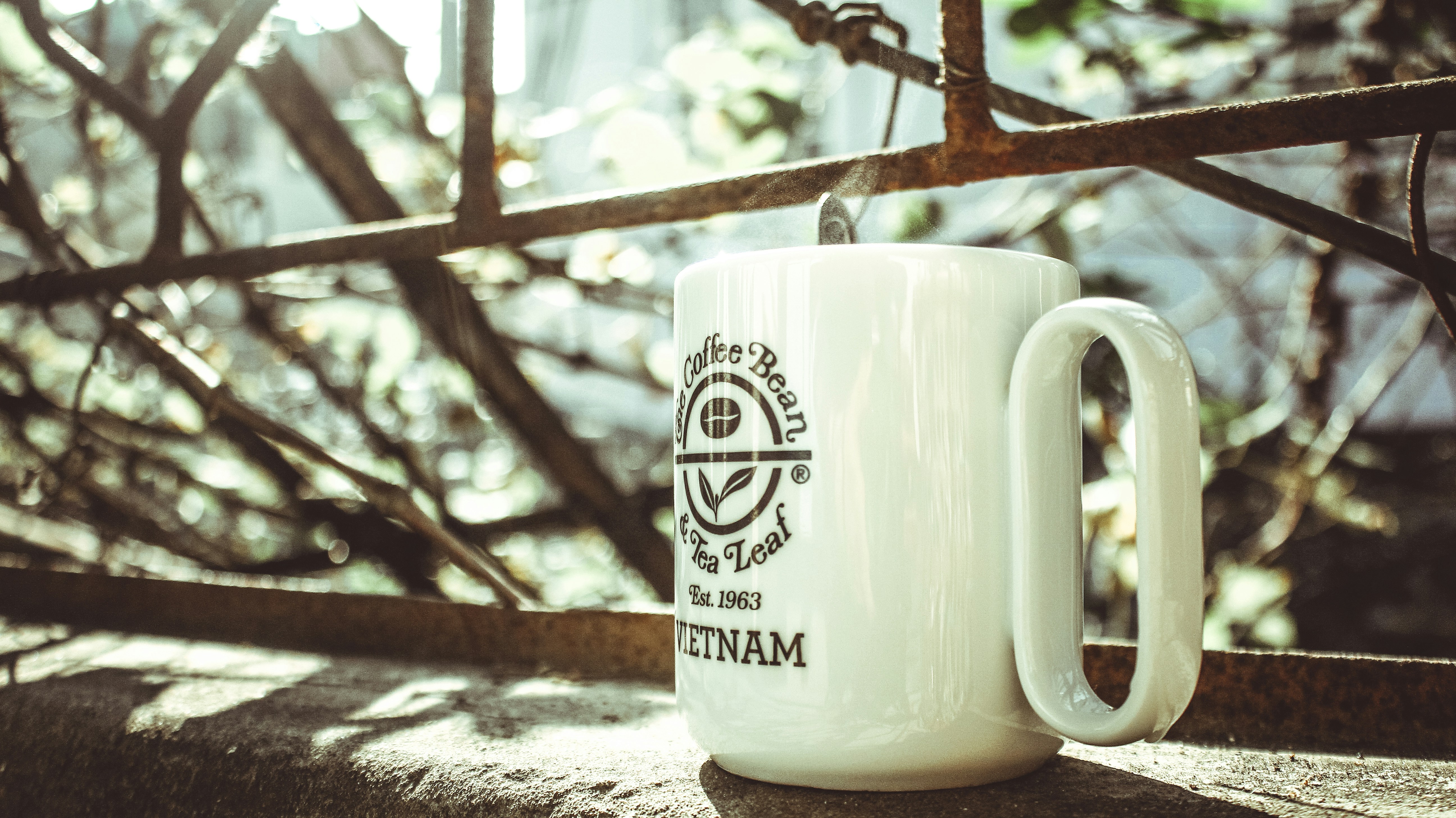 Free Unsplash photo from Hai Dang