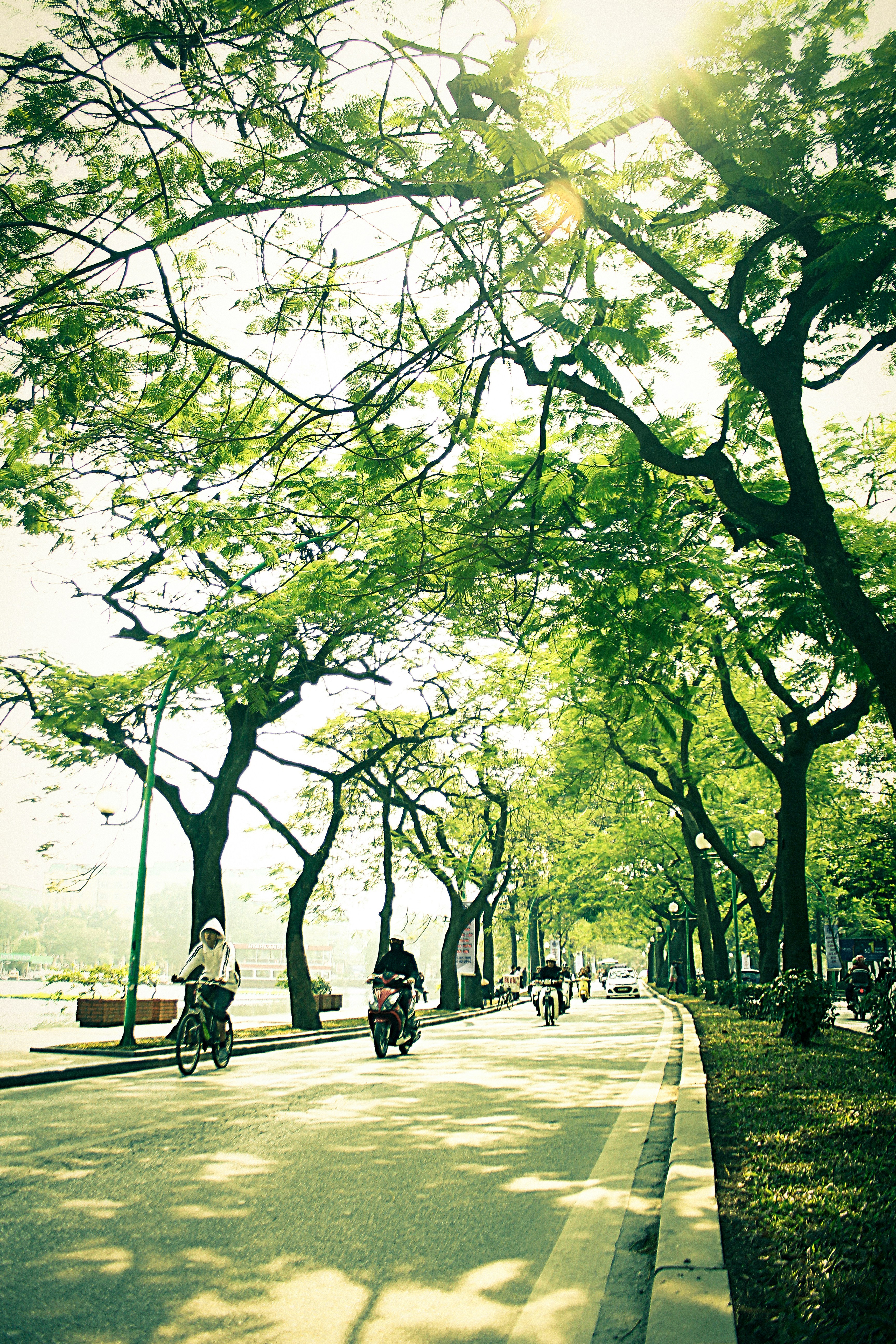 Free Unsplash photo from Hai Dang