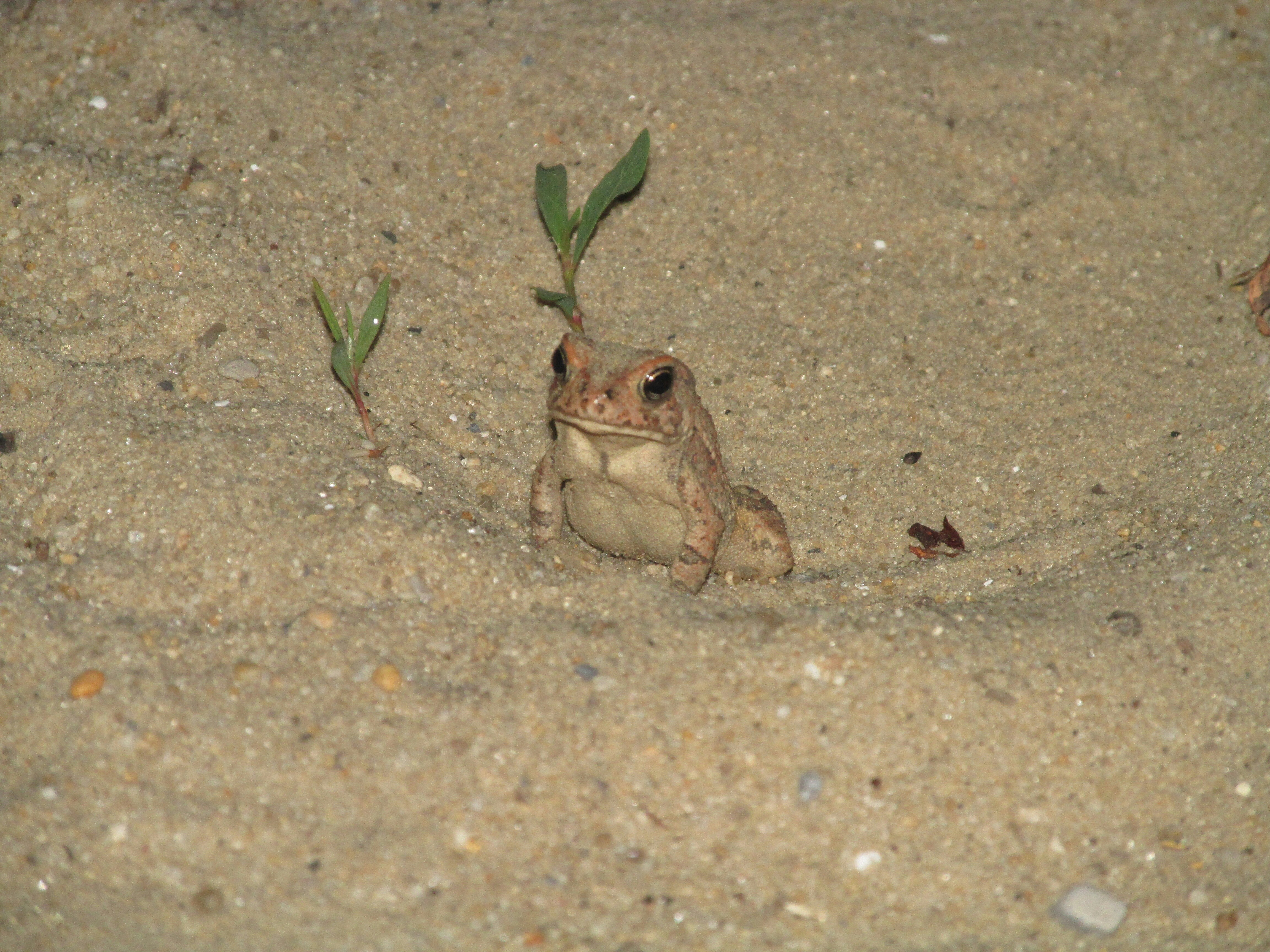 Free Unsplash photo from Kayla