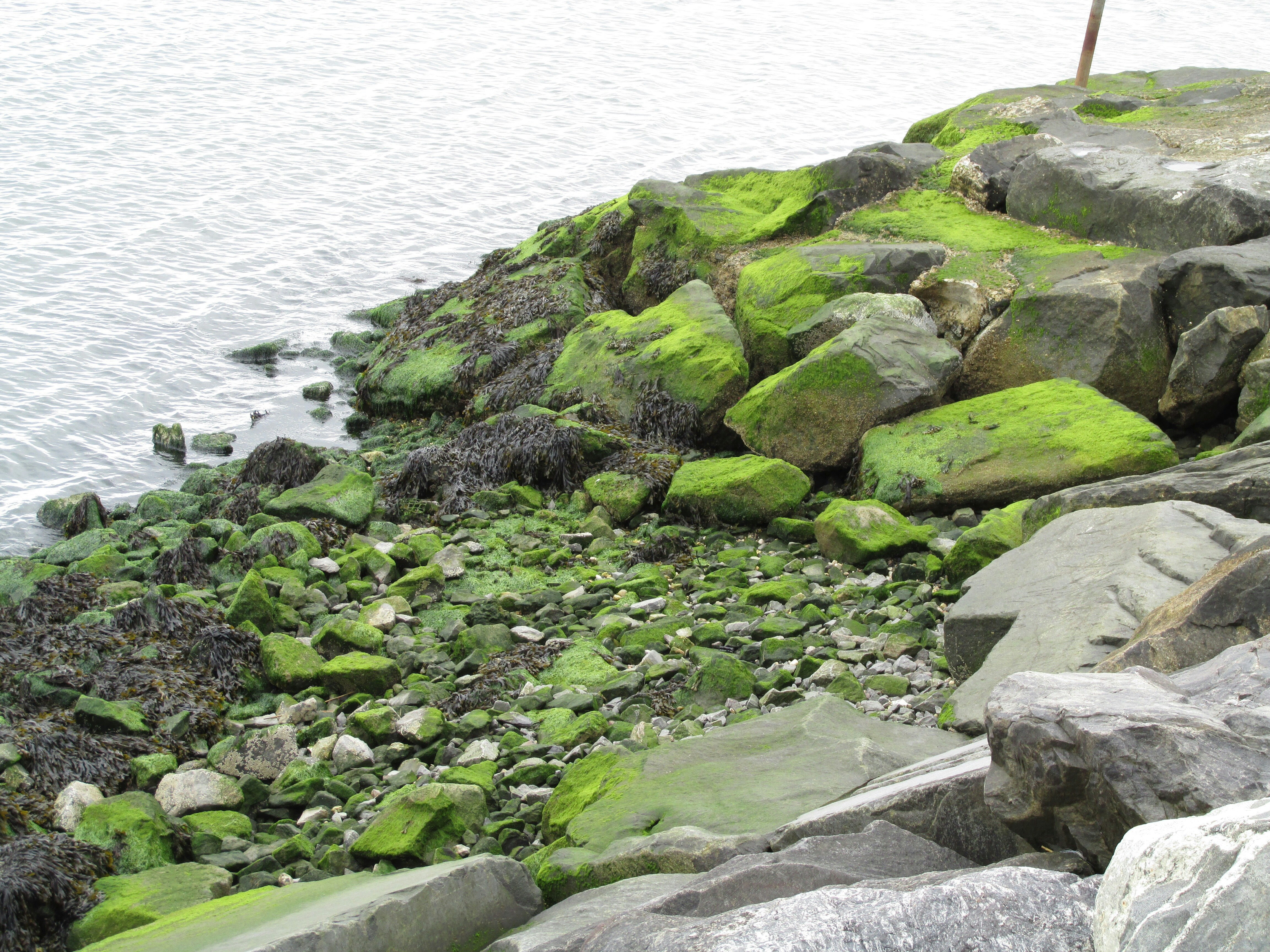 Free Unsplash photo from Kayla