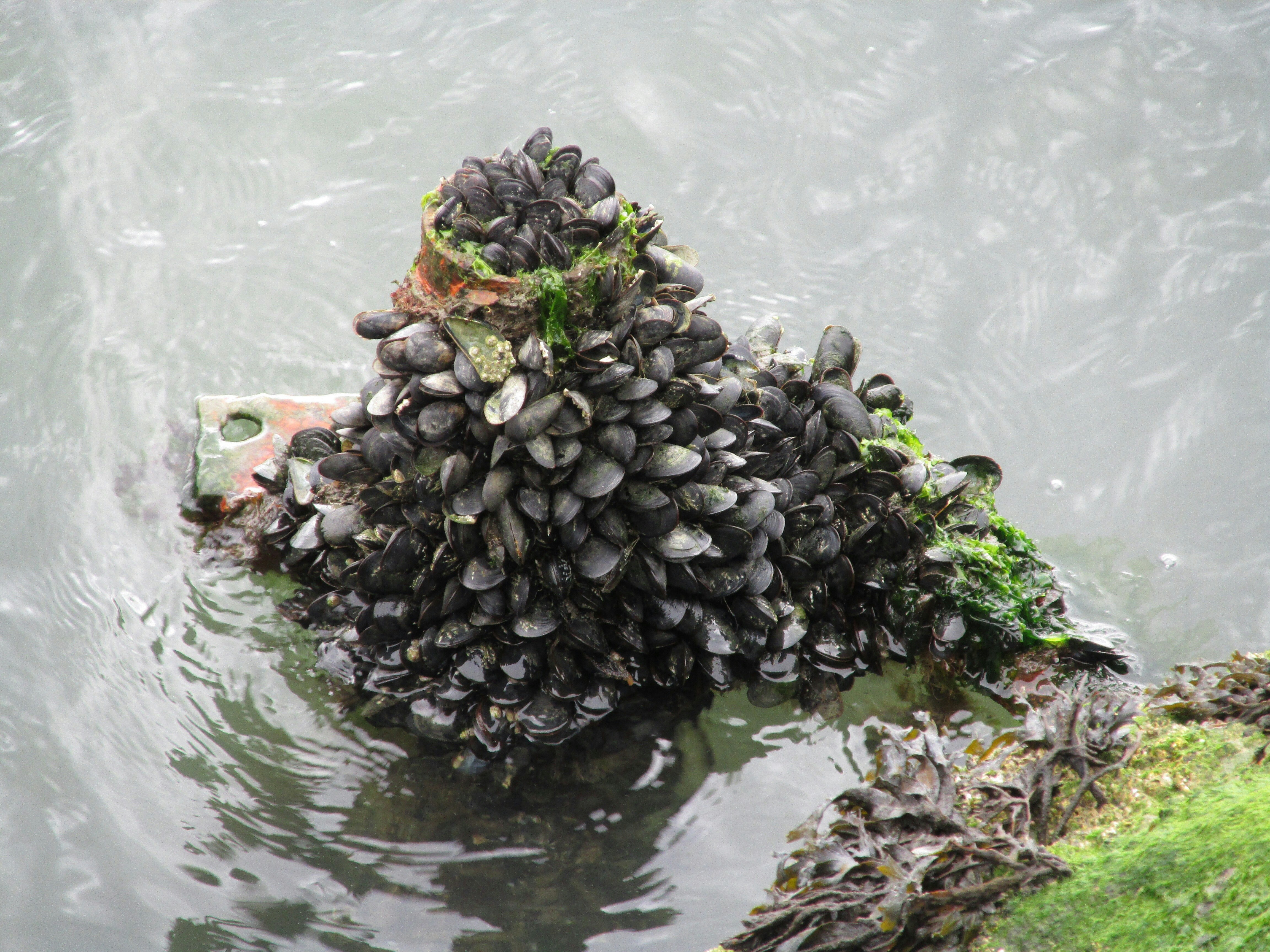 Free Unsplash photo from Kayla