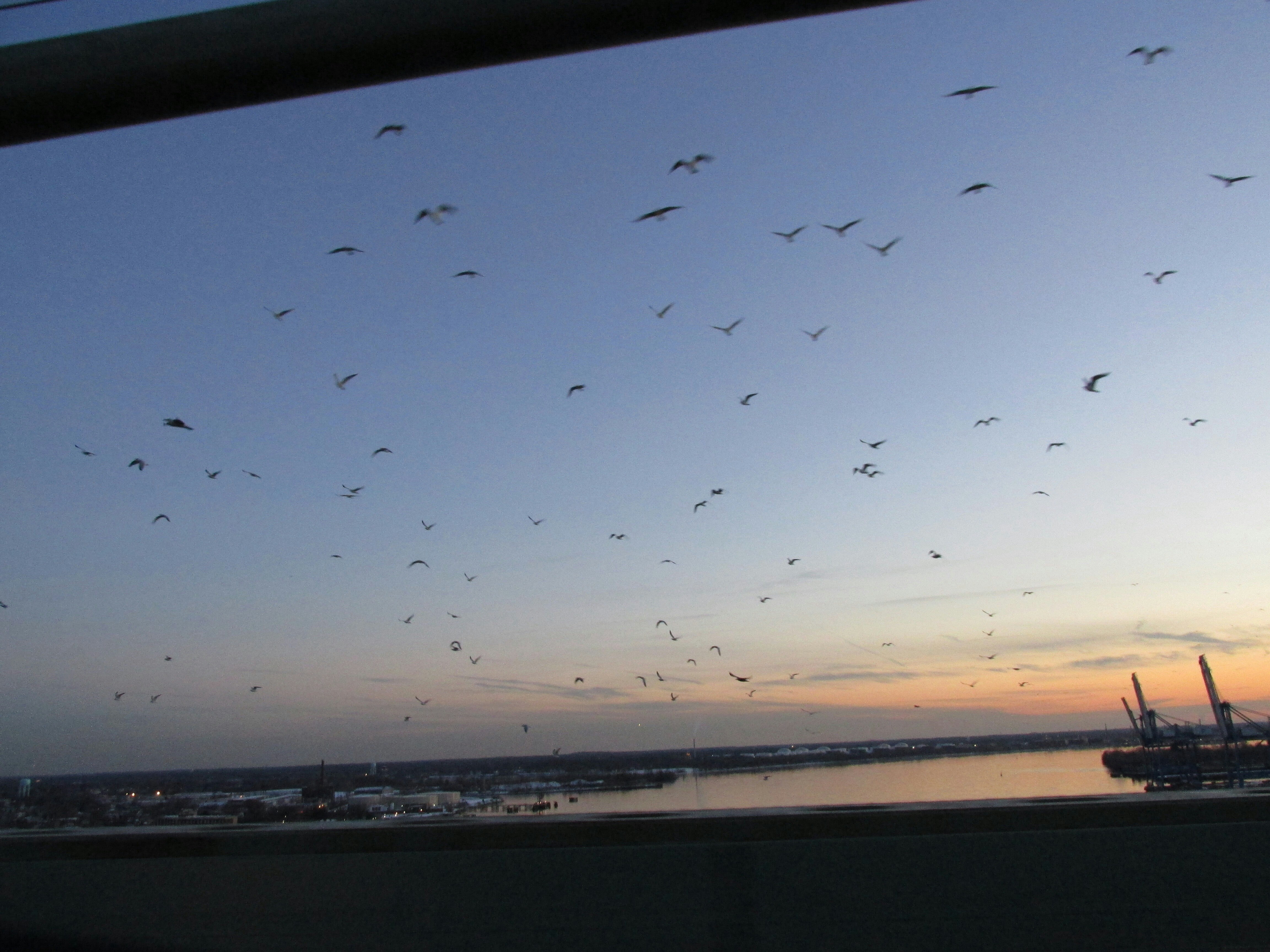 Free Unsplash photo from Kayla