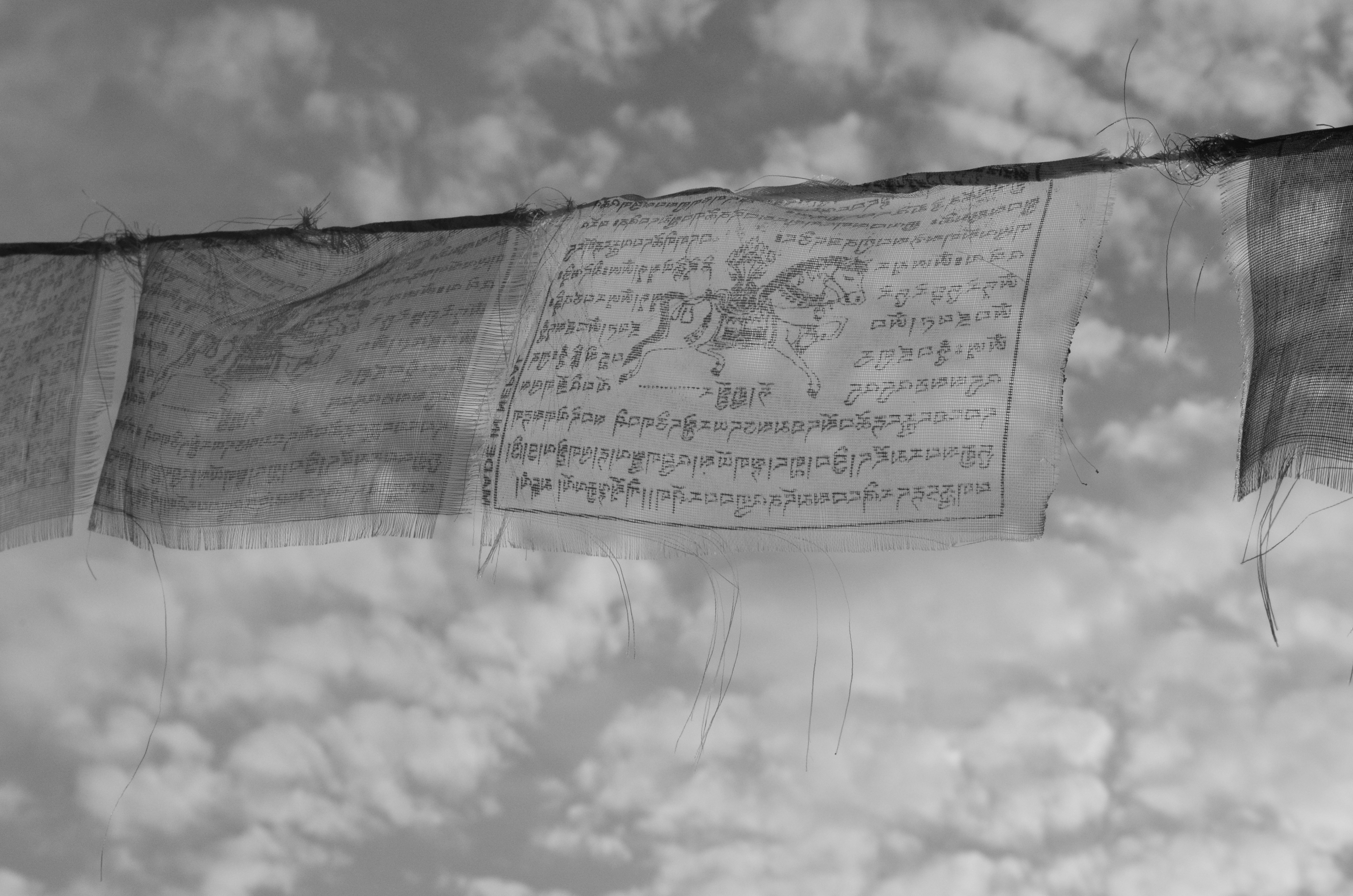 Free Unsplash photo from Anicka Sosovicka