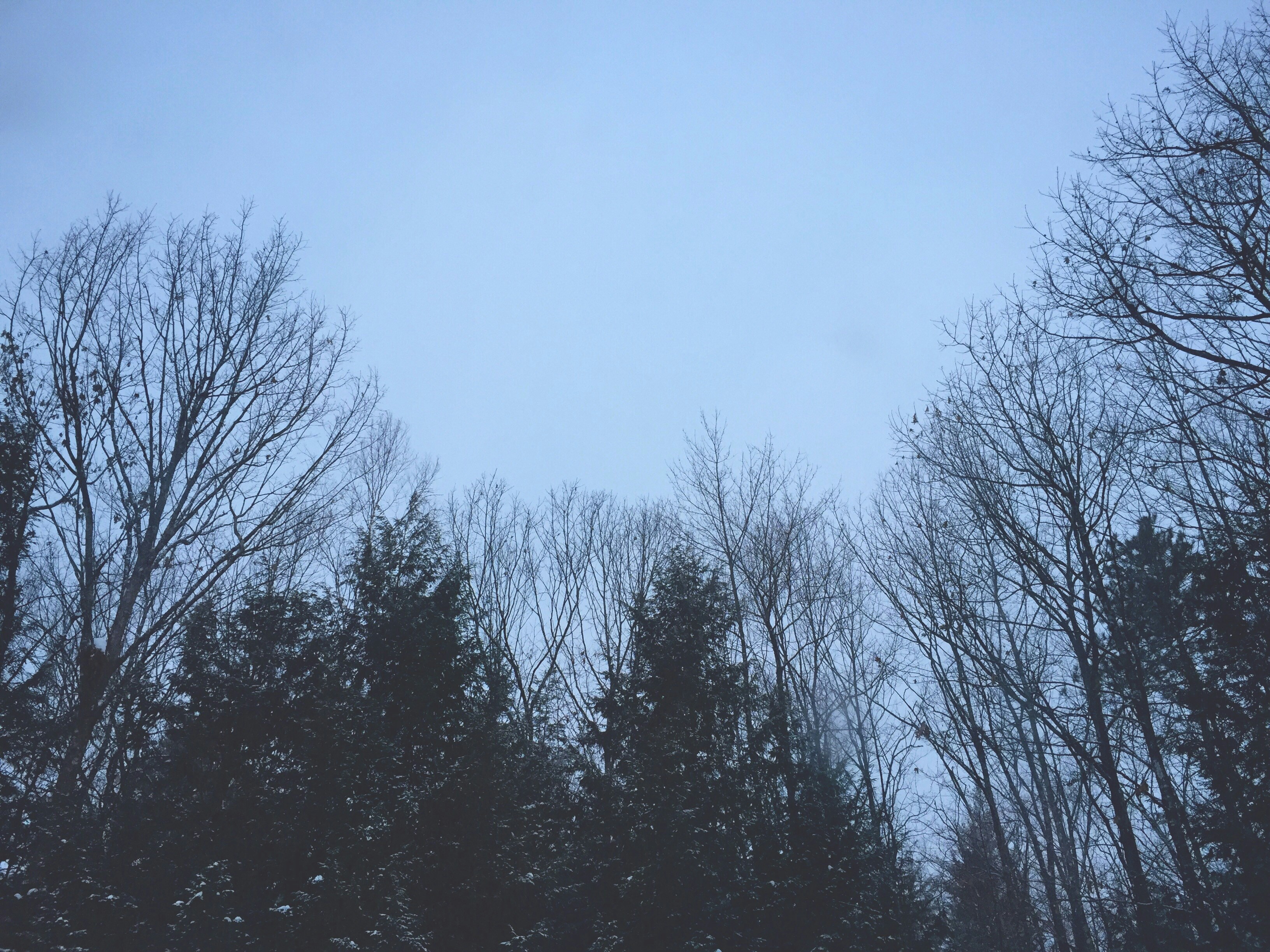 Free Unsplash photo from Jacob Cammett