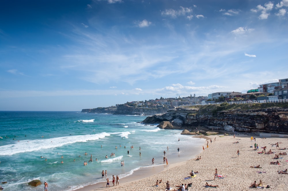 people on the seashore and swimming on the body of water