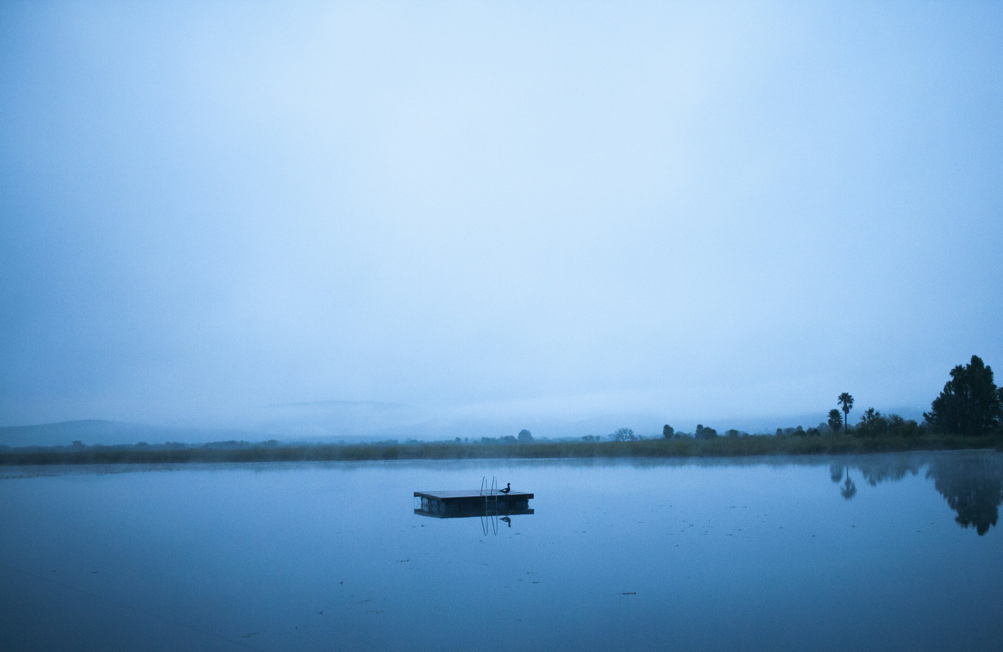 Free Unsplash photo from Daniela Muñoz