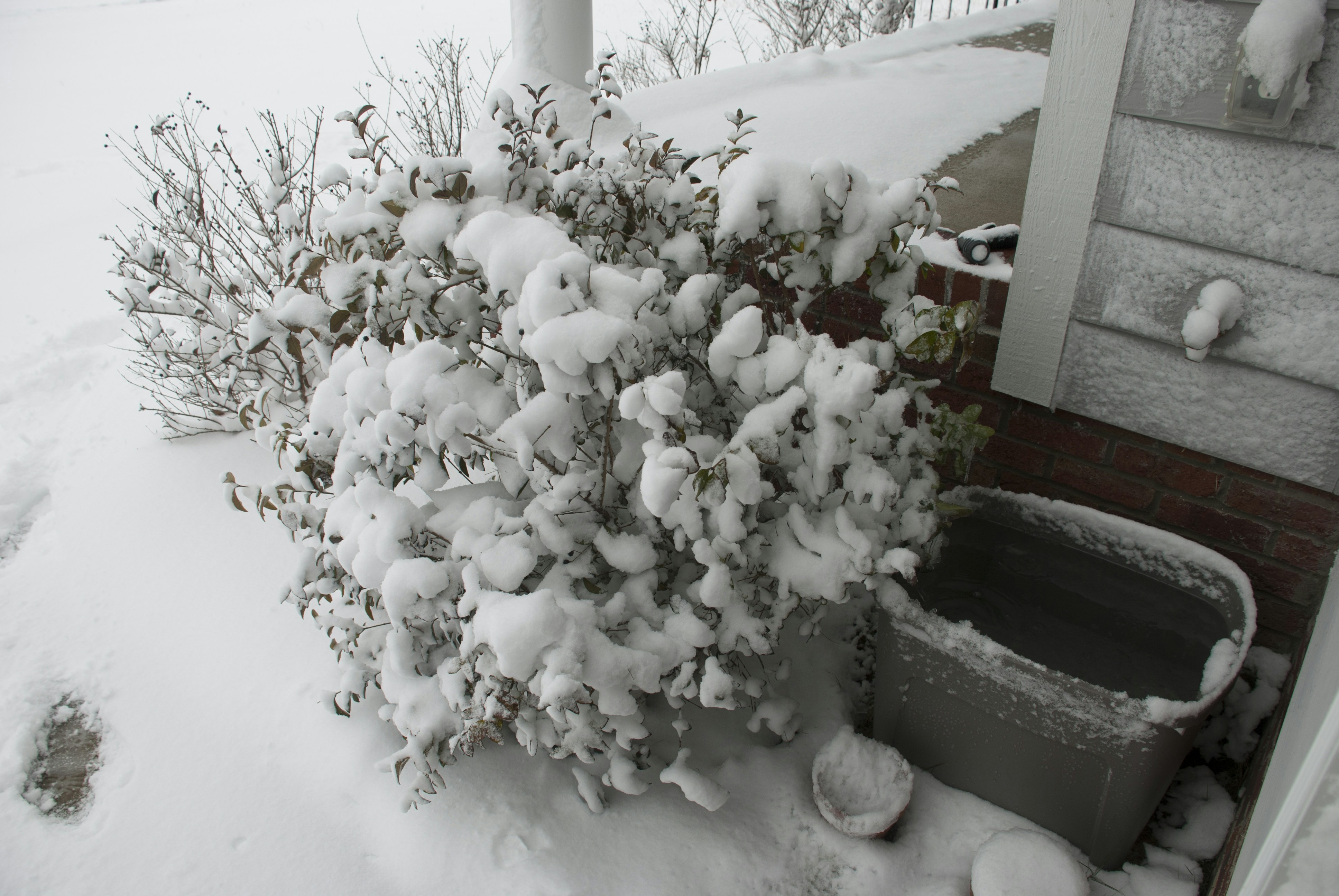 Free Unsplash photo from Doug Ko