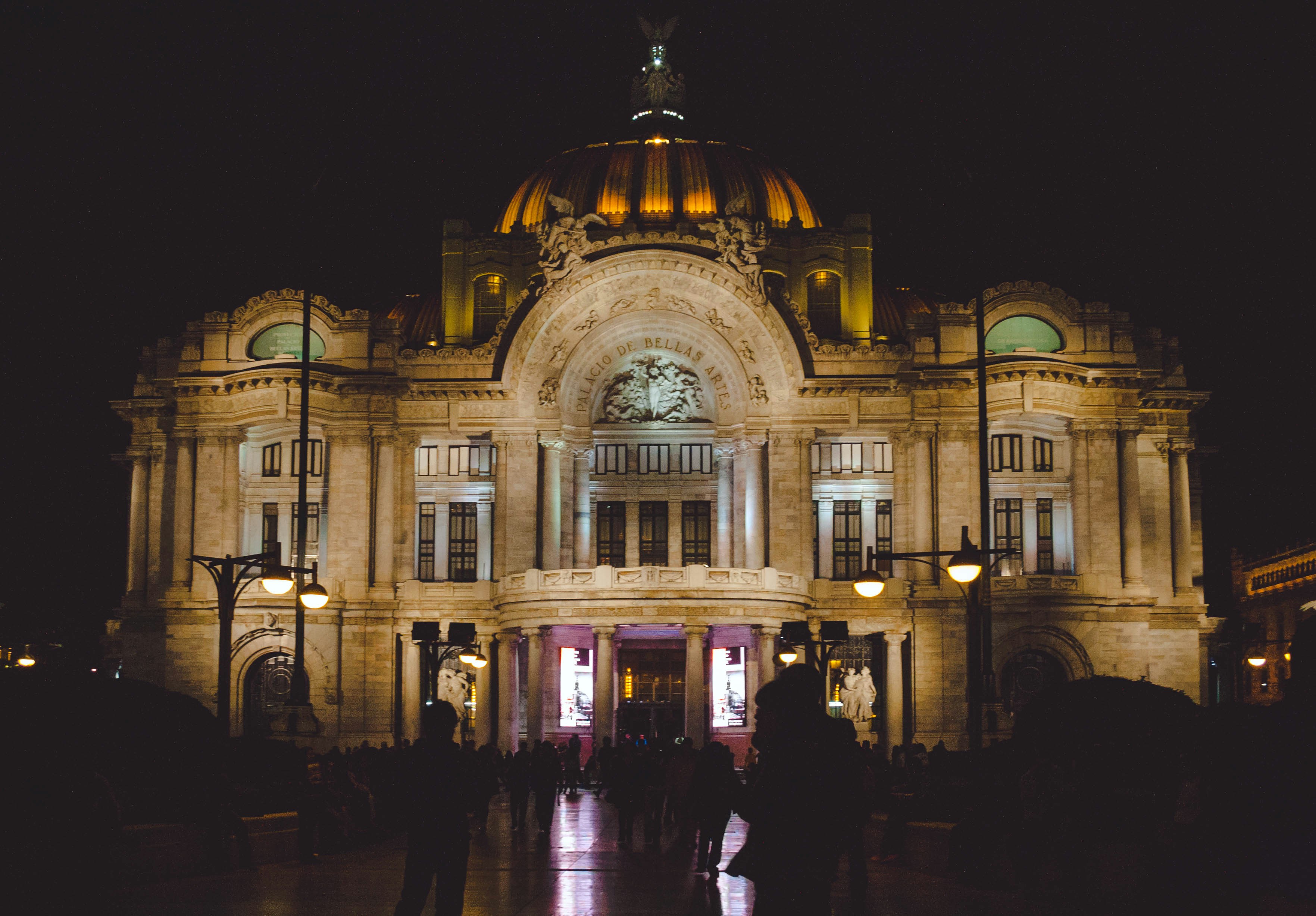 Free Unsplash photo from Daniela Muñoz