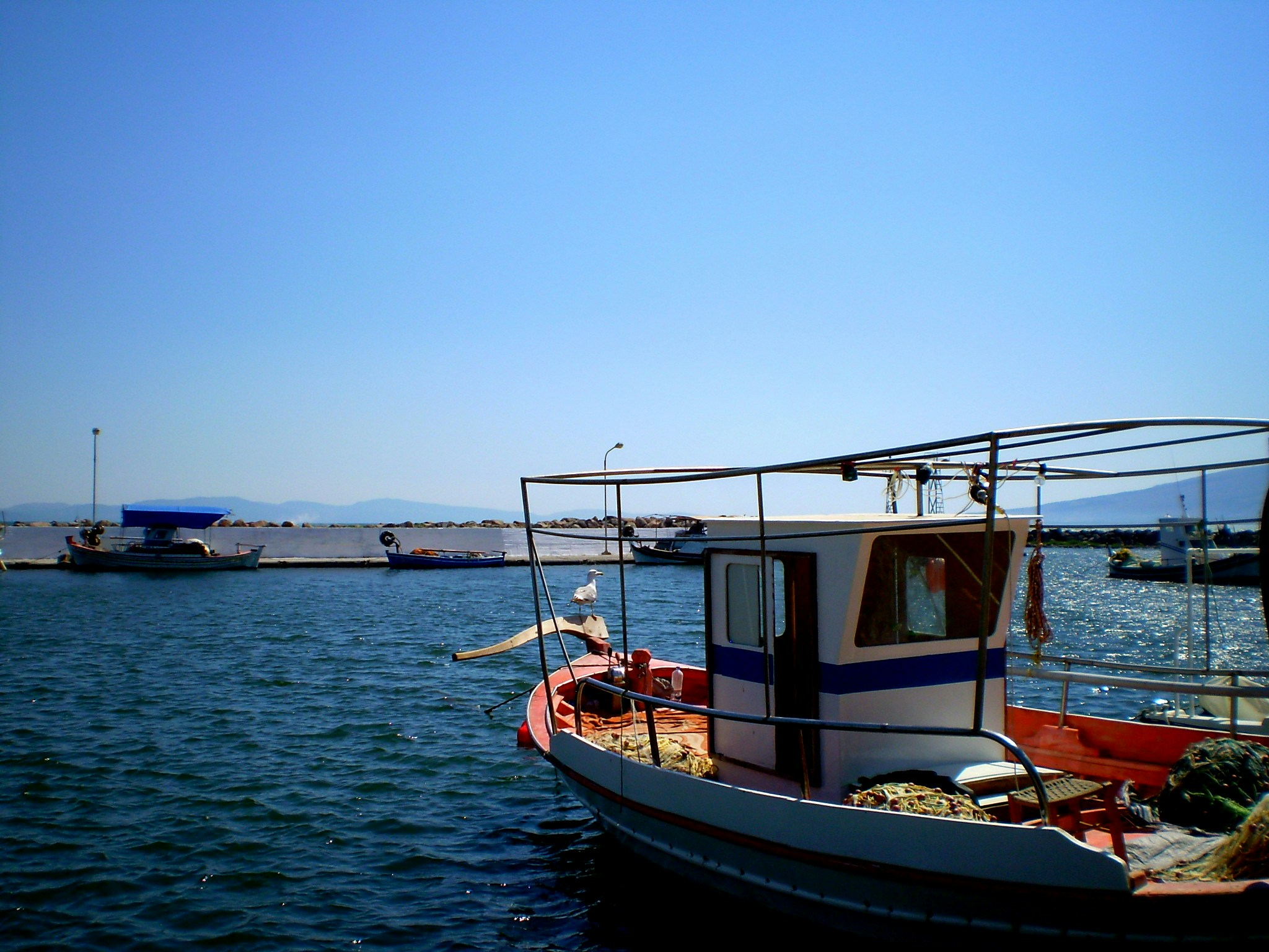 Free Unsplash photo from Athena