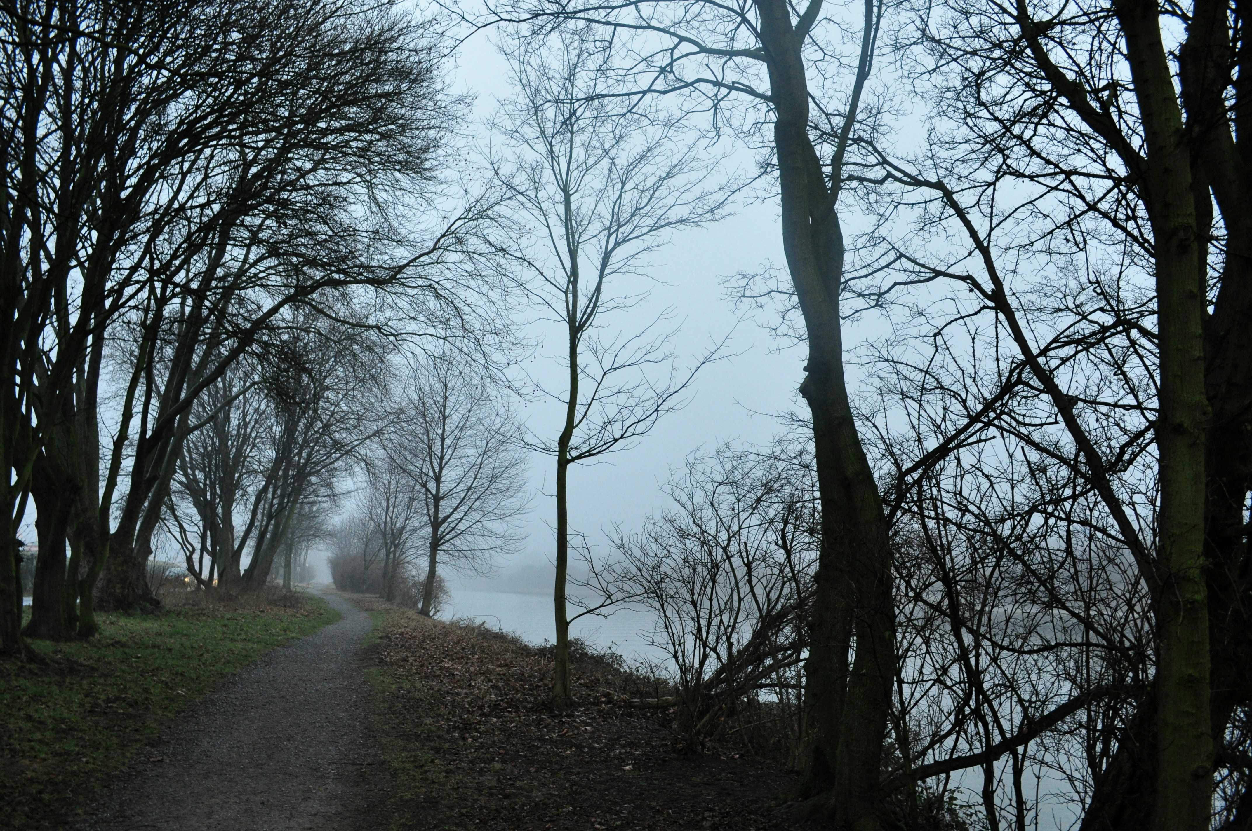 Free Unsplash photo from Carina Fil