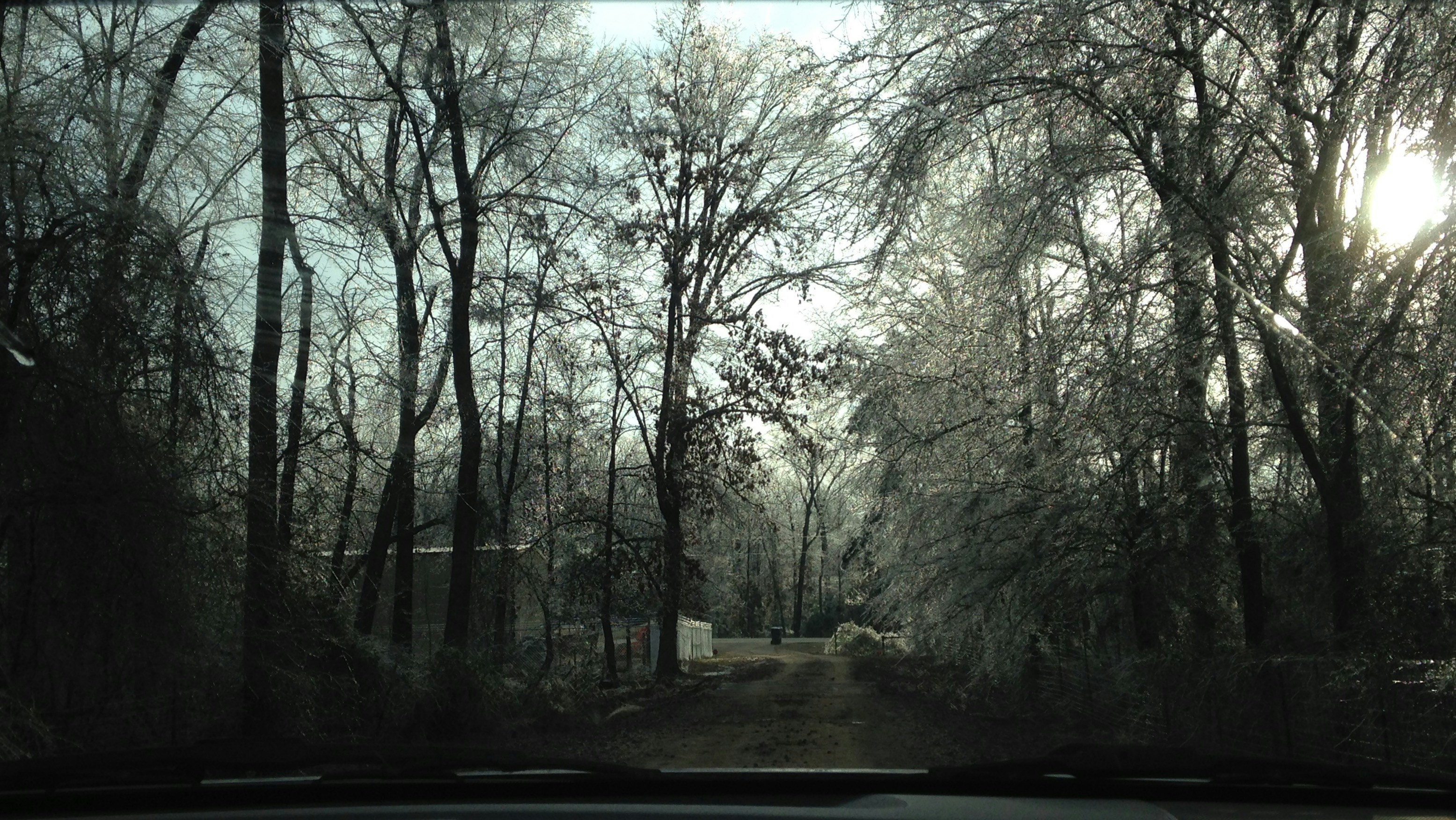 Free Unsplash photo from maria reynolds