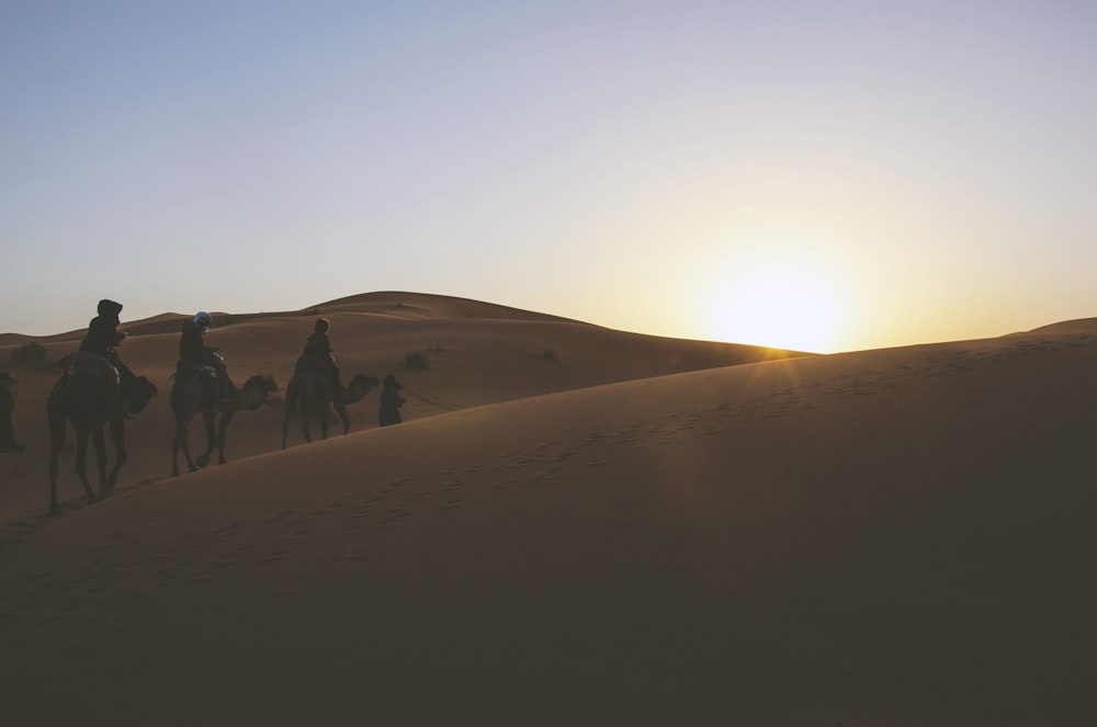 silhouette of three person riding on camels while passing through desert