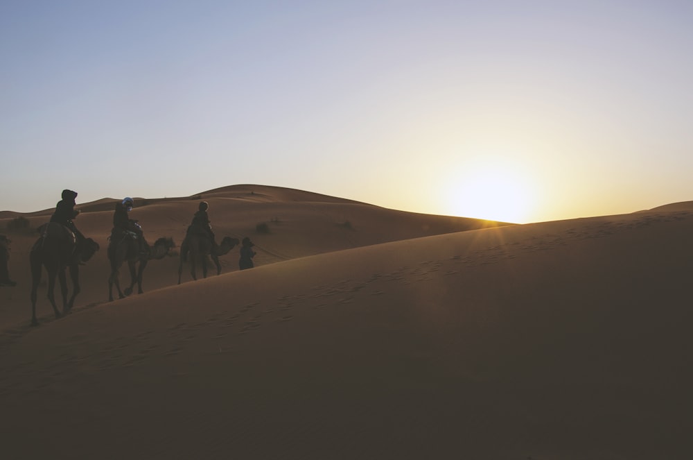 silhueta de três pessoas montadas em camelos enquanto passam pelo deserto