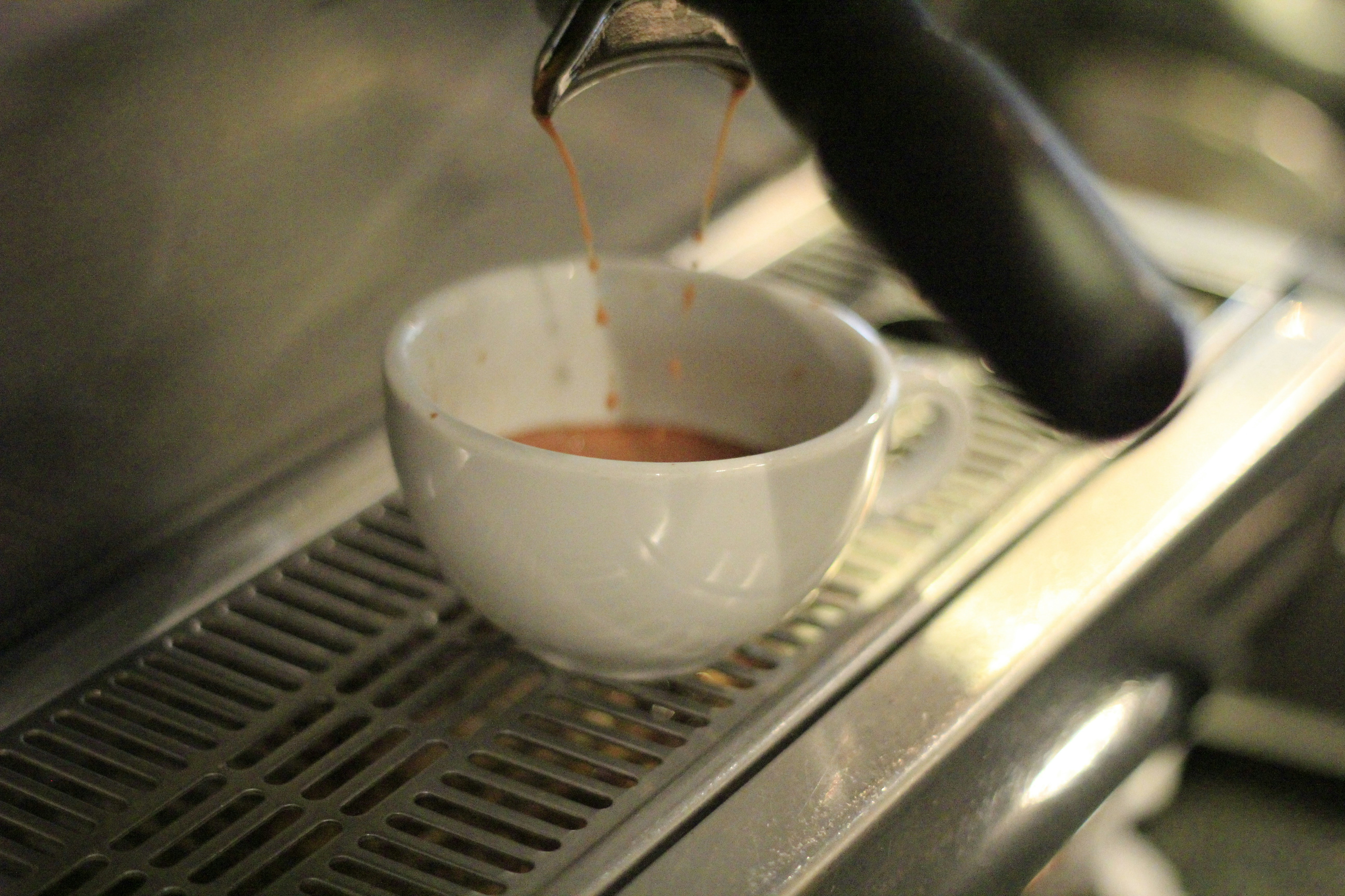 Free Unsplash photo from Kaley  Dykstra