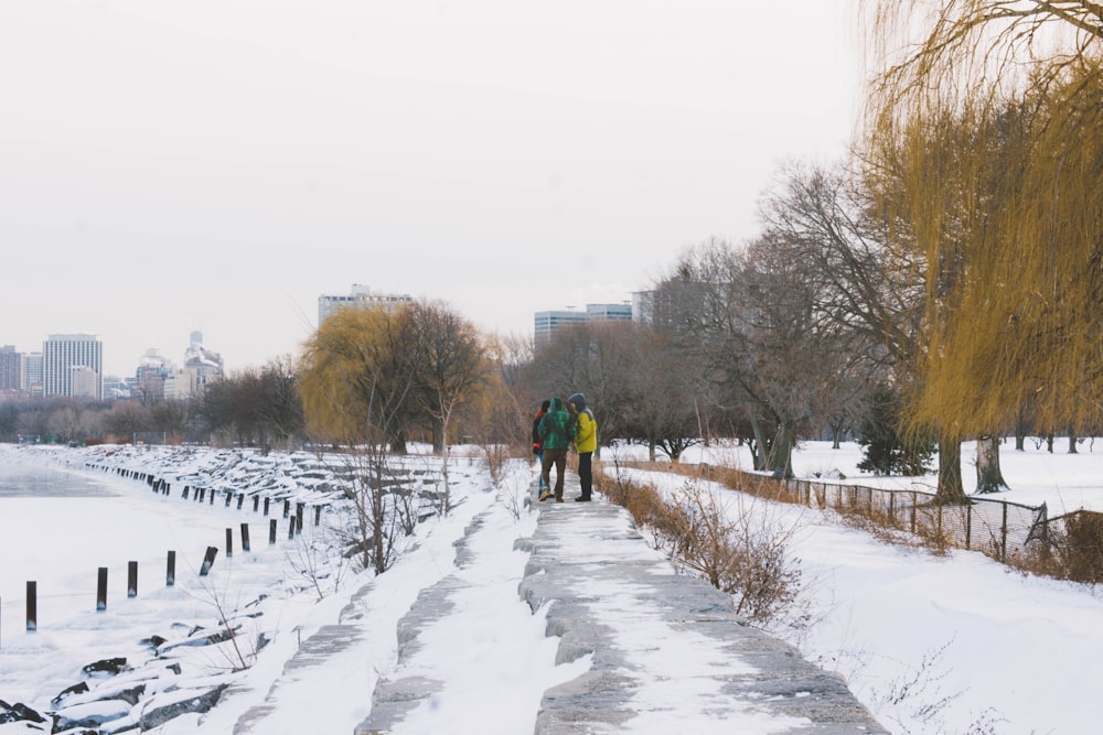 people near brown trees