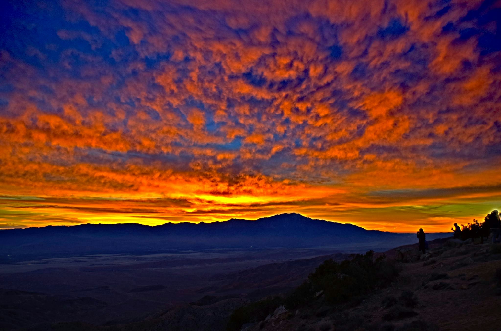 Free Unsplash photo from Avishek Mukhopadhyay