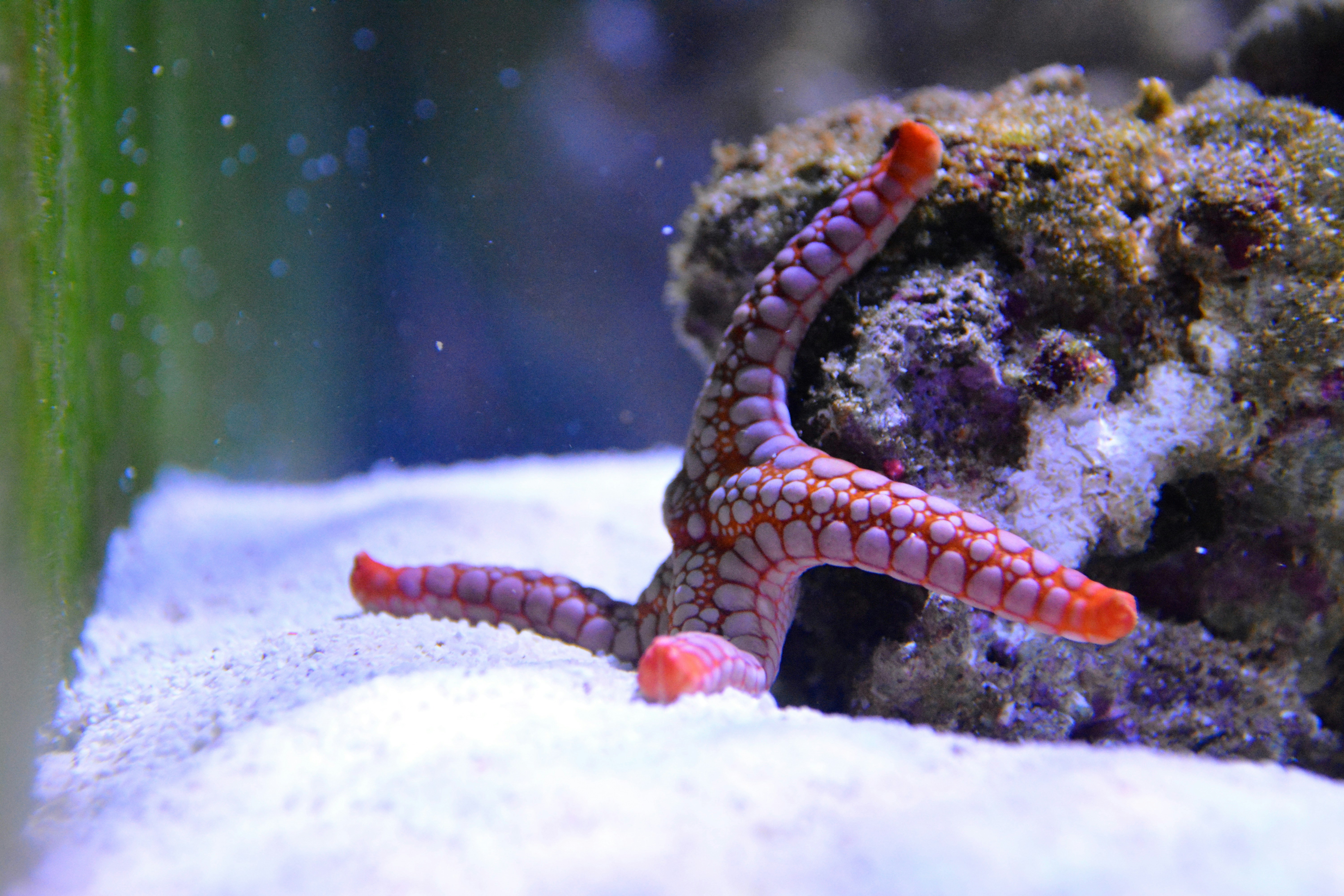 Free Unsplash photo from Jamil Hasan