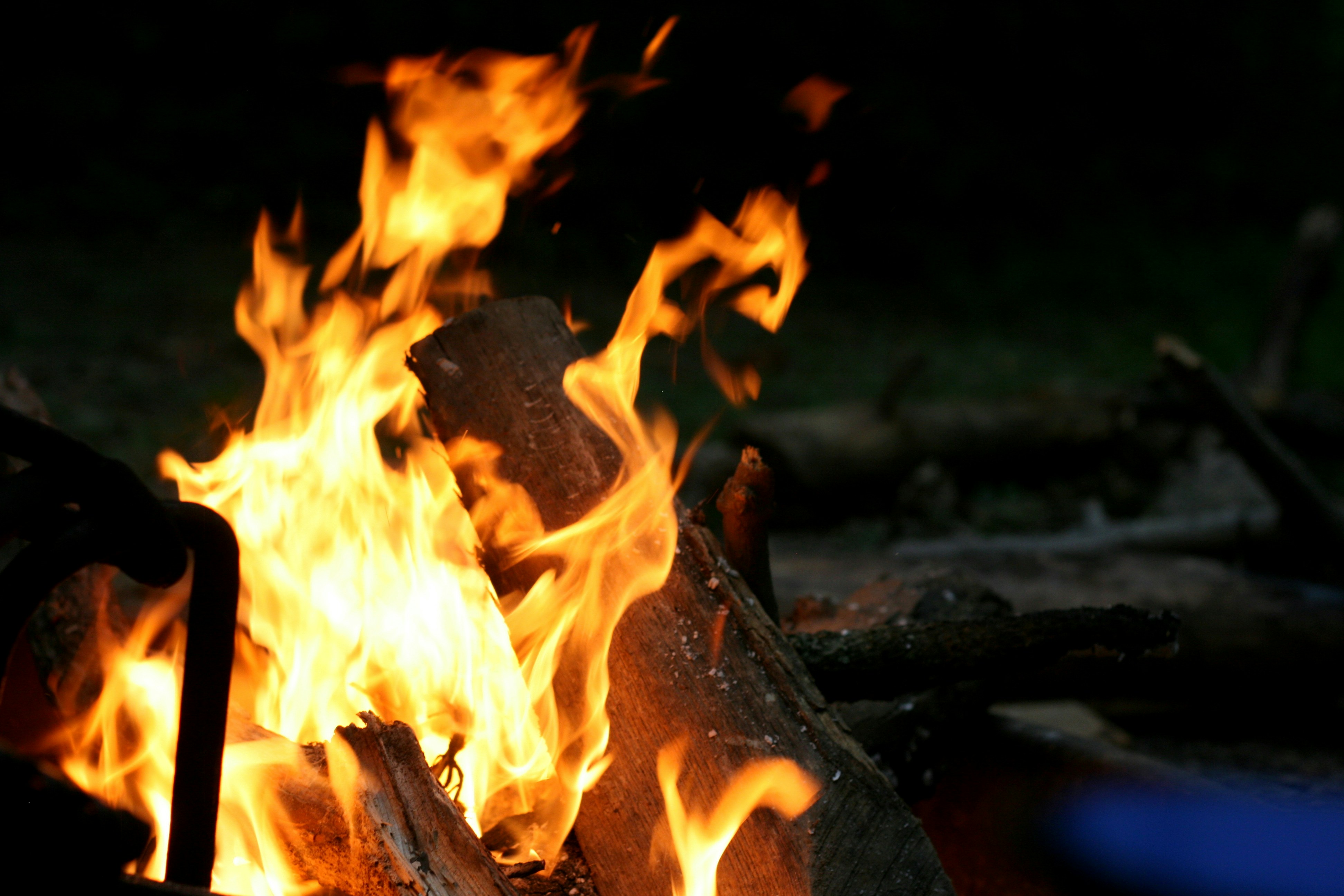 Free Unsplash photo from Allison Wopata