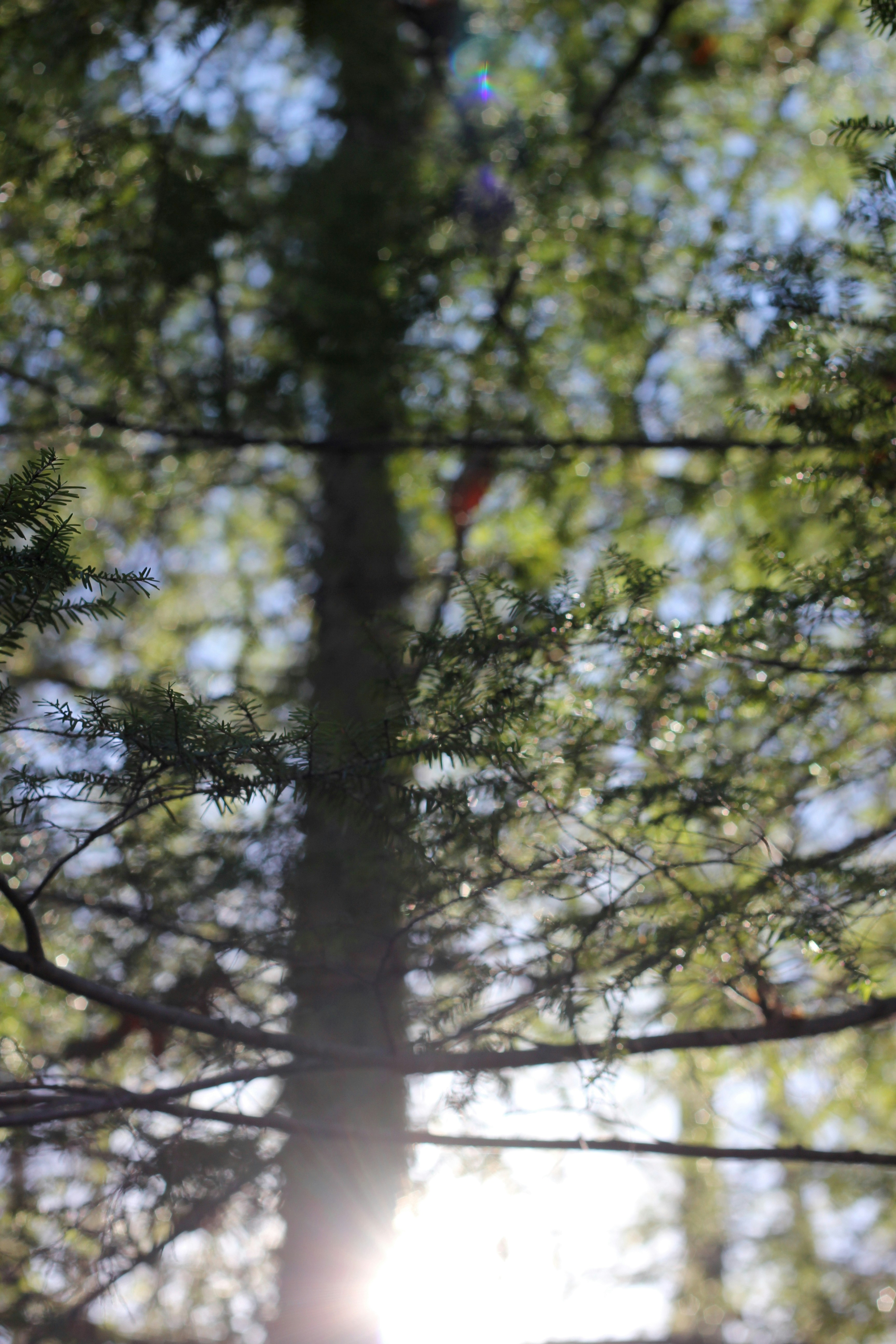 Free Unsplash photo from Allison Wopata