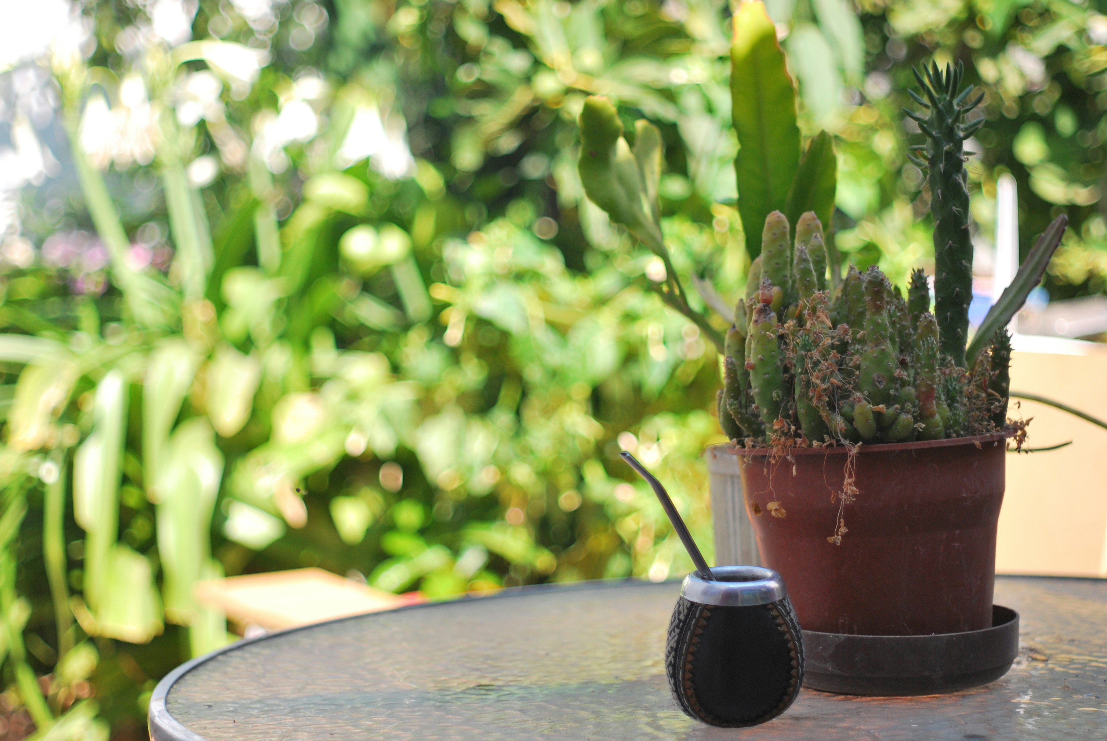 Free Unsplash photo from Cristopher  López E.