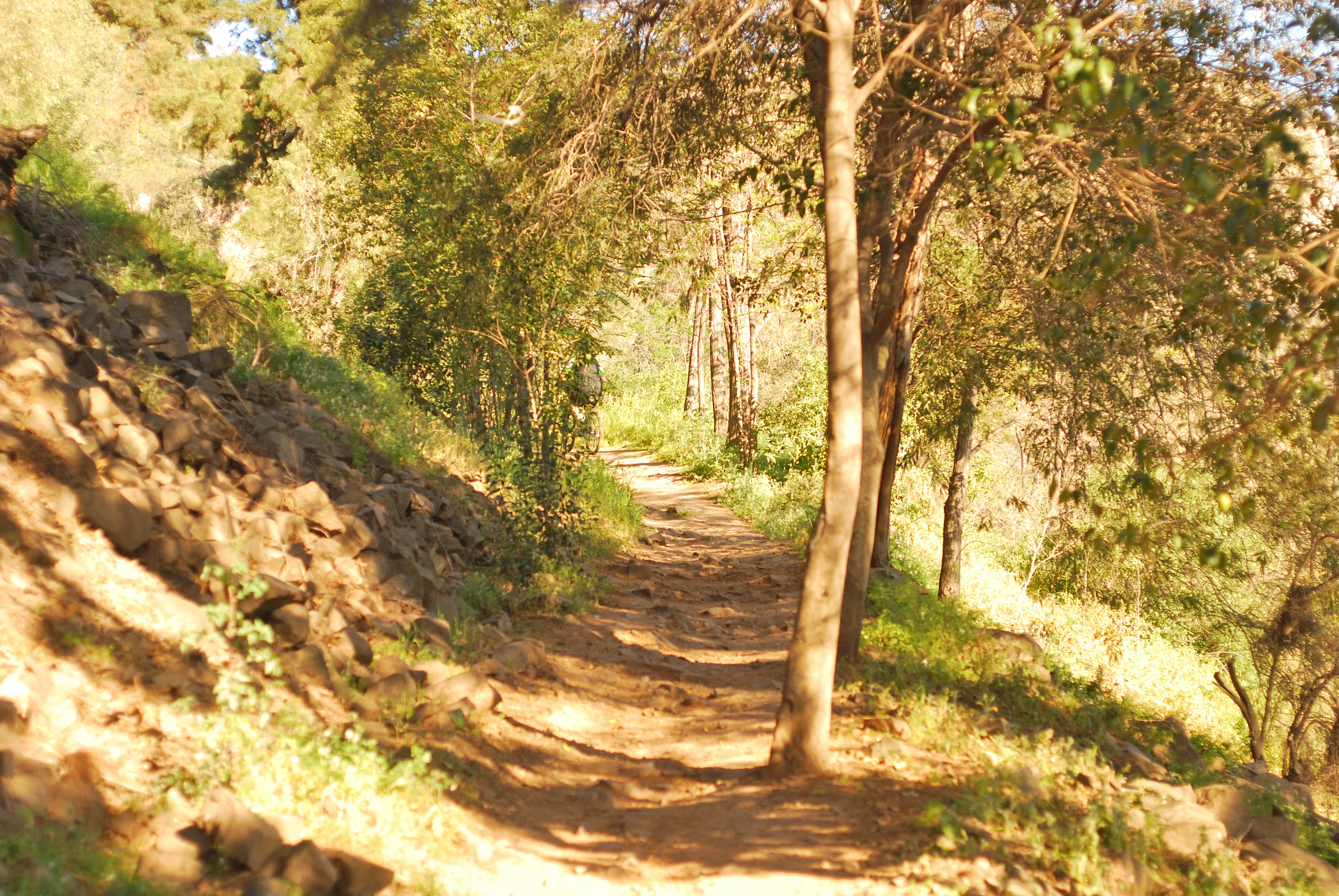 Free Unsplash photo from Cristopher  López E.