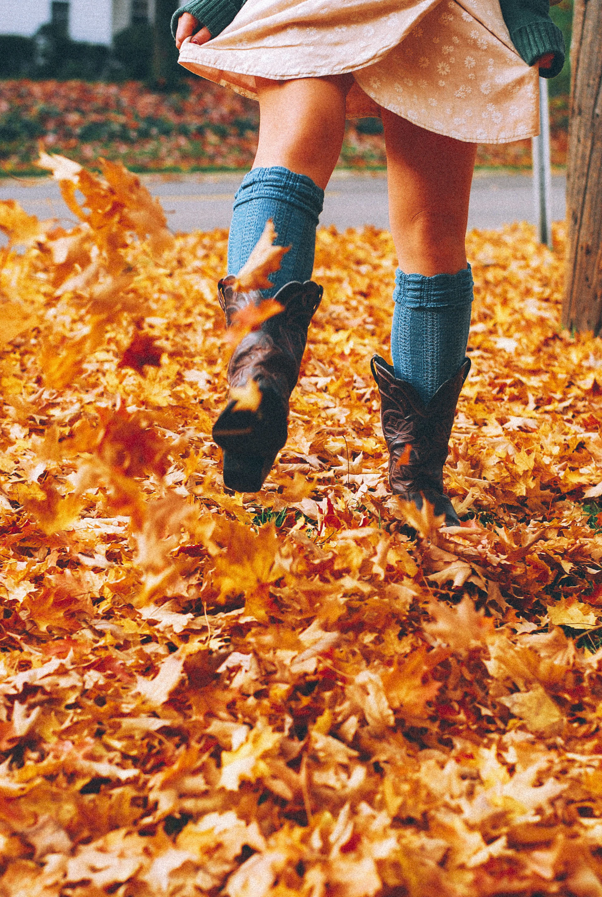 A cozy autumn ensemble with a pastel blue knit sweater, plaid pleated skirt, knee-high socks, and vintage-inspired ankle boots, captured in a sunlit park with fallen leaves.