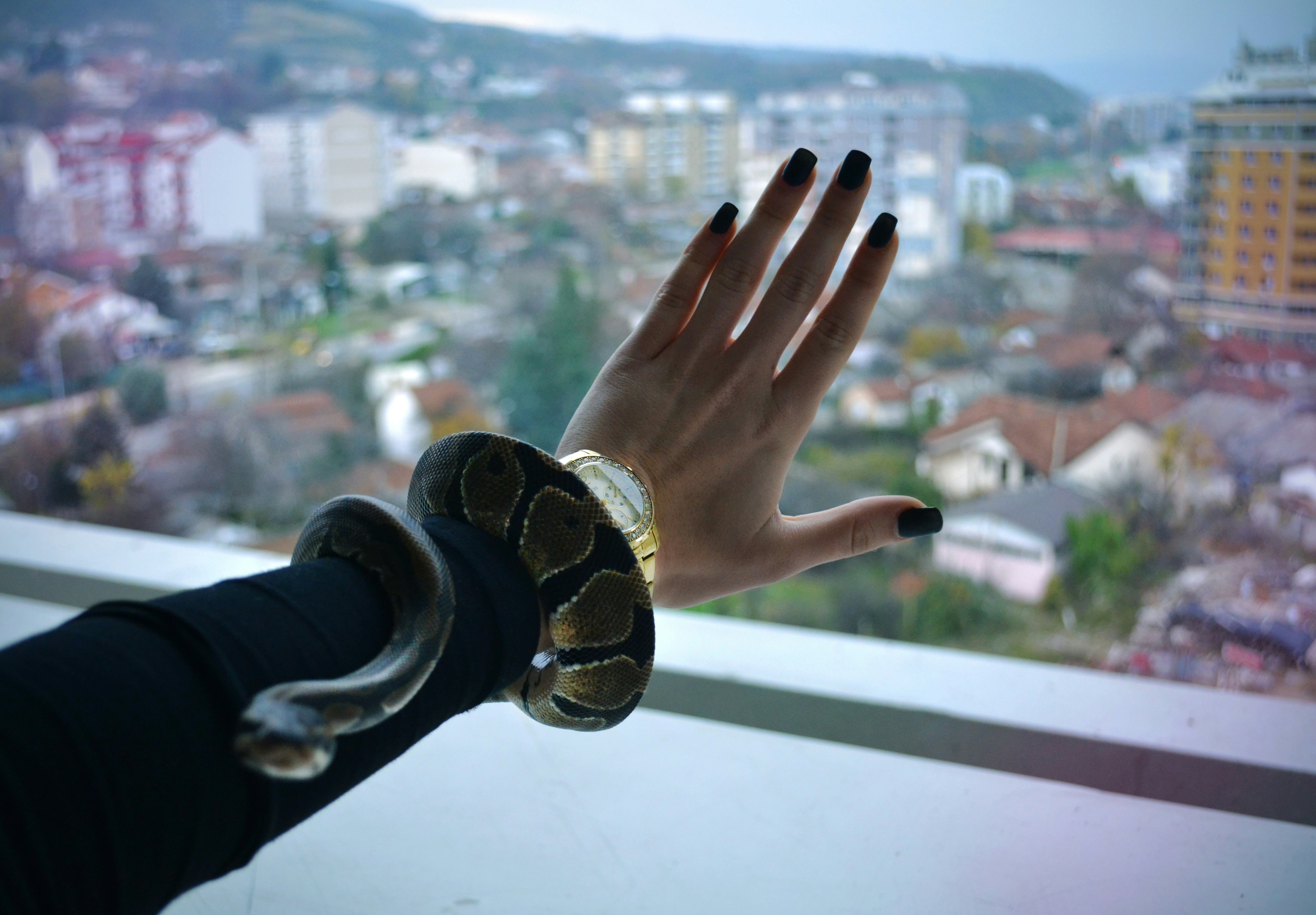 Free Unsplash photo from Vasil Pujovski