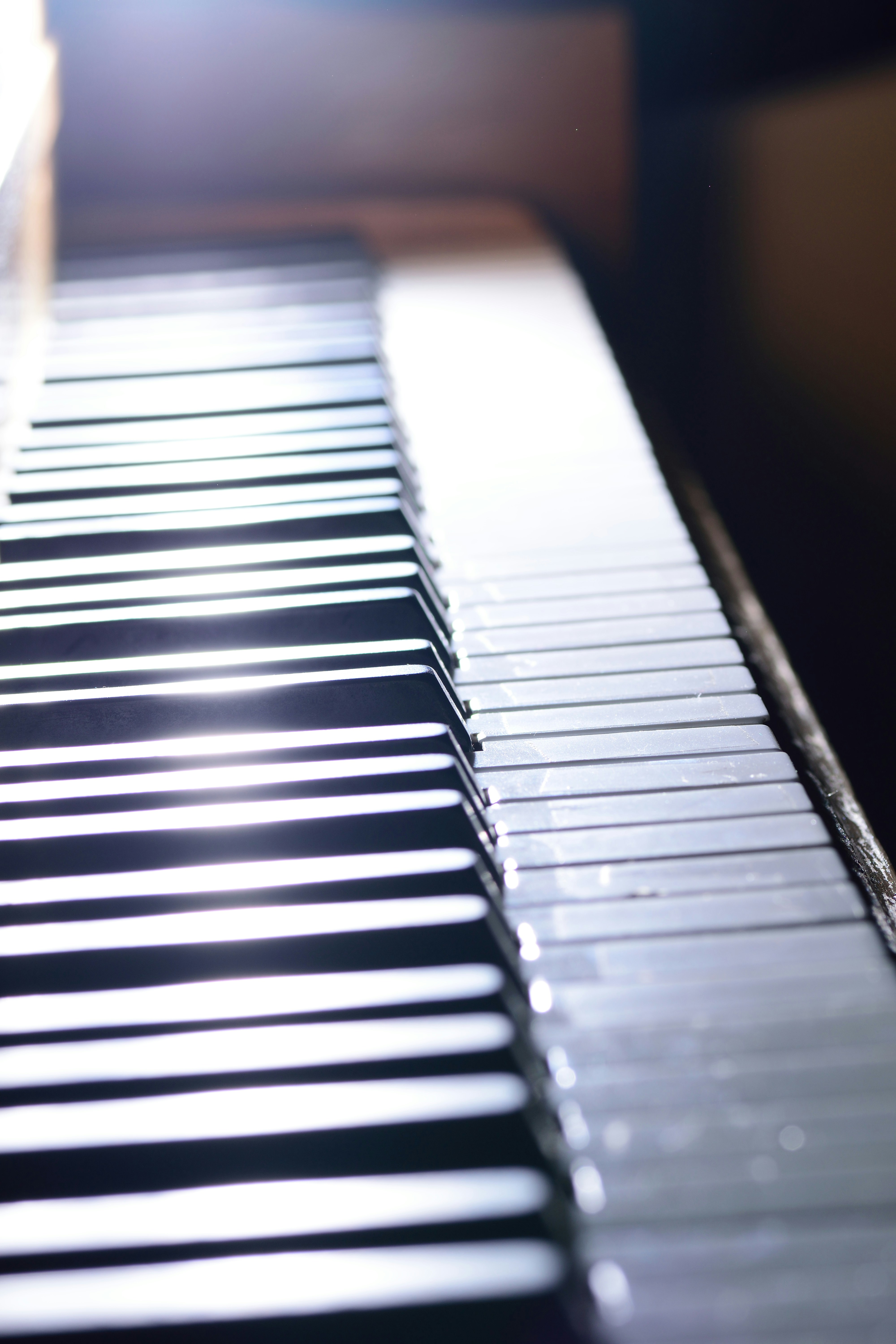 Free Unsplash photo from Jason Leach