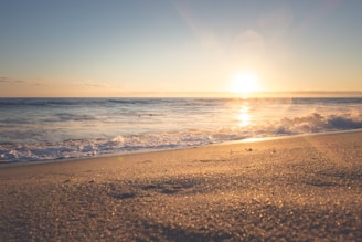 photography of seashore during sunset