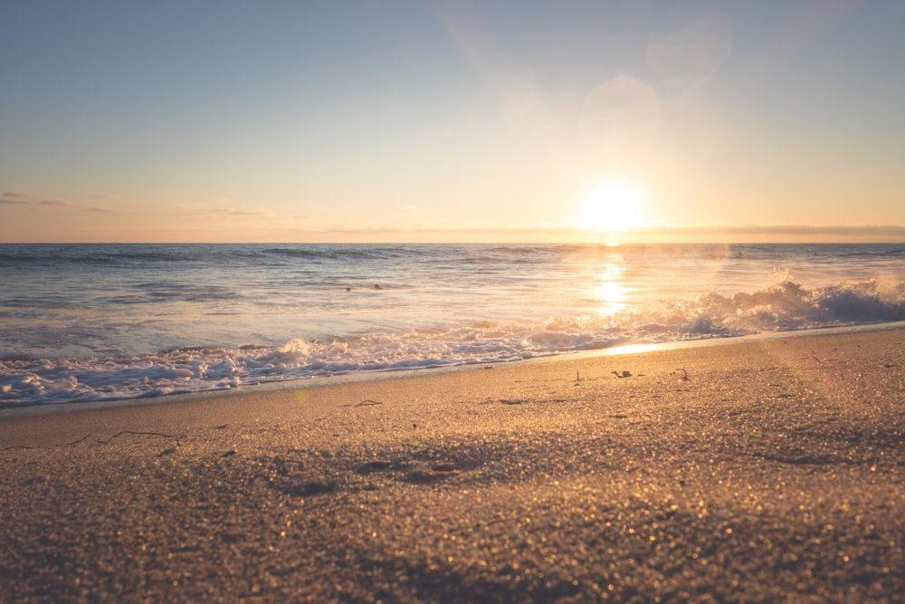 photography of seashore during sunset