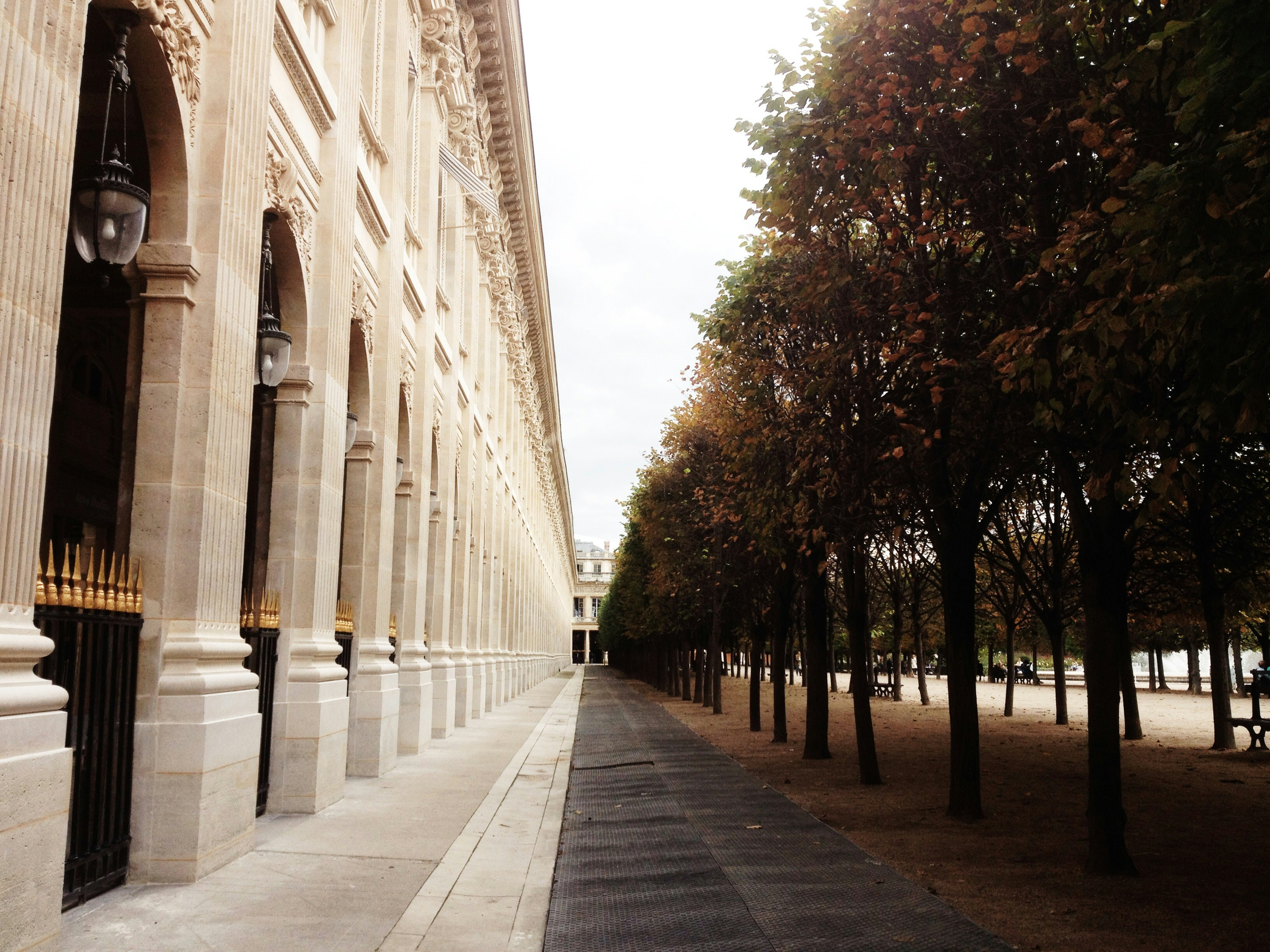 Free Unsplash photo from Yuliia Sudarchykova