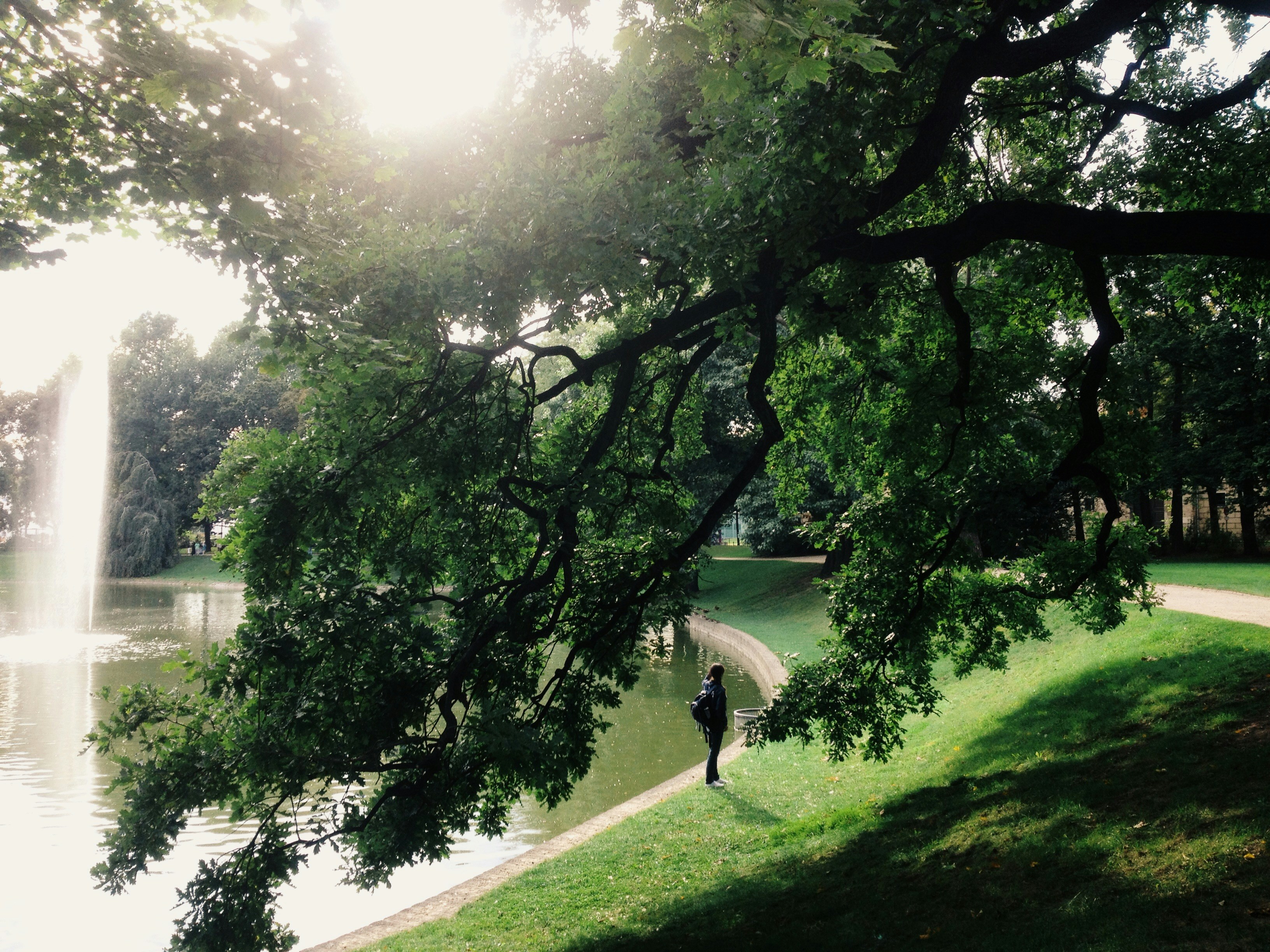 Free Unsplash photo from Yuliia Sudarchykova