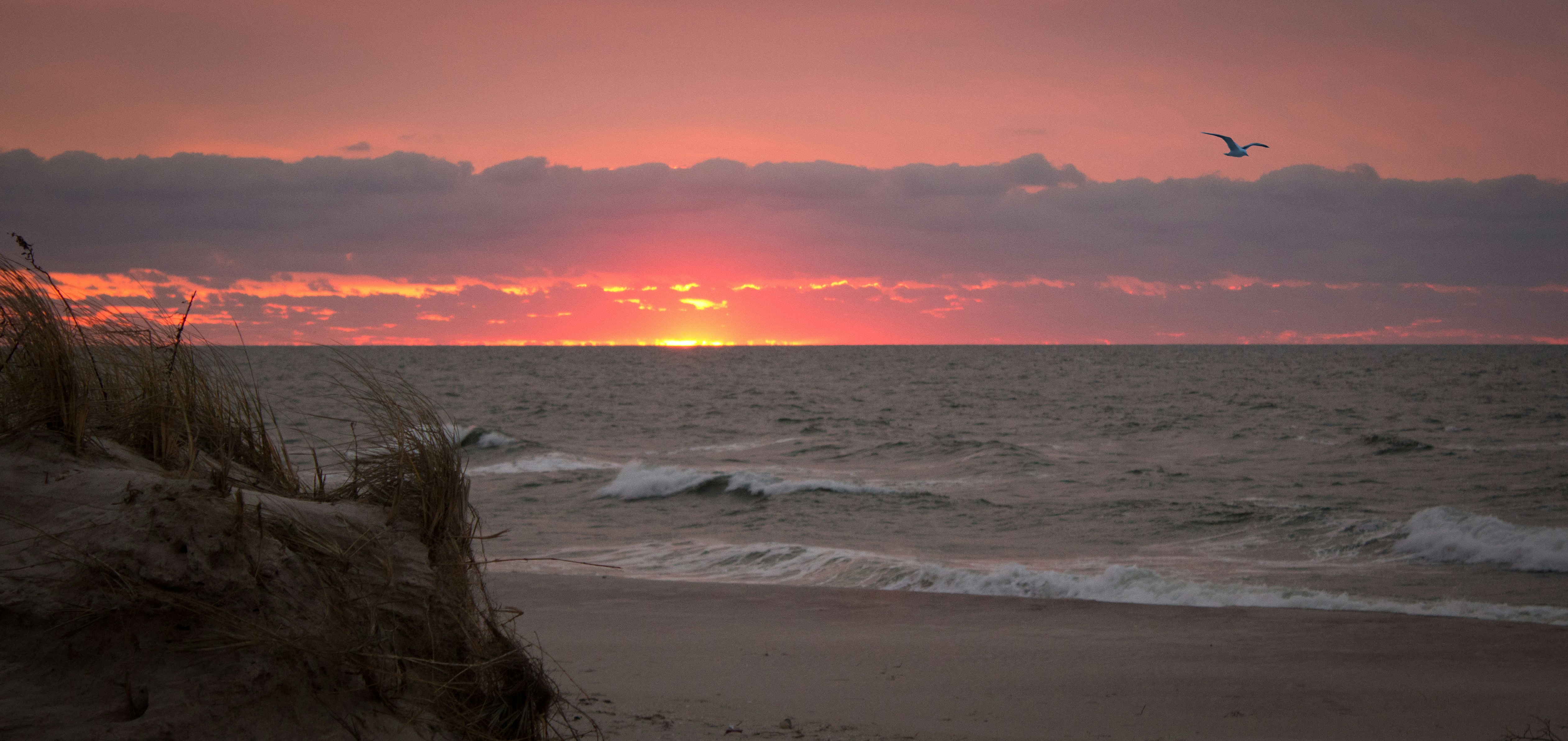 Free Unsplash photo from George Cowan