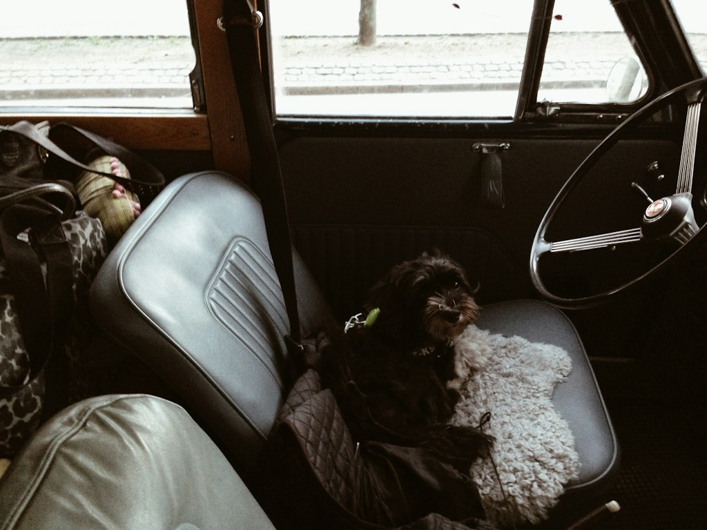 Car Seat Cushion