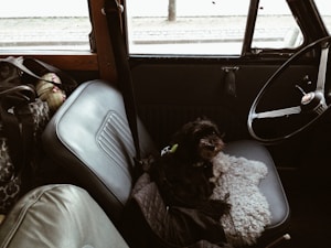 Car Seat Cushion